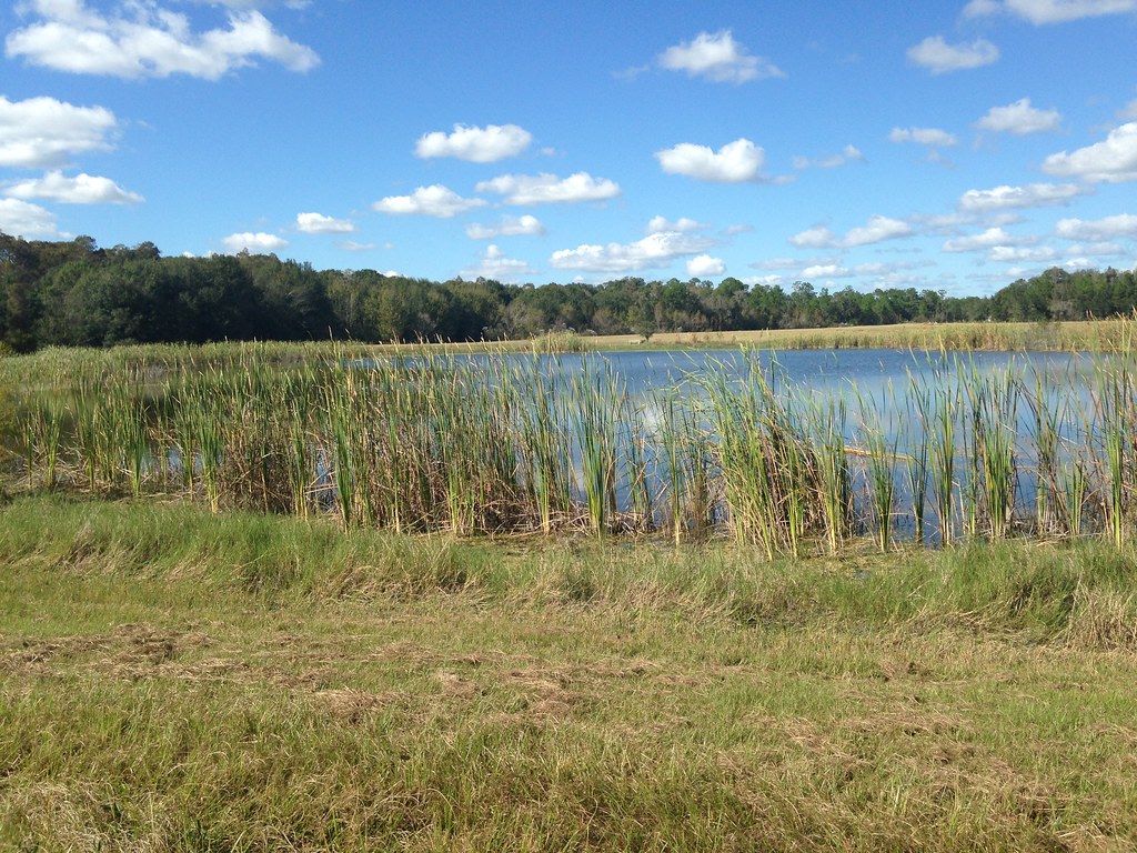 Colt Creek State Park