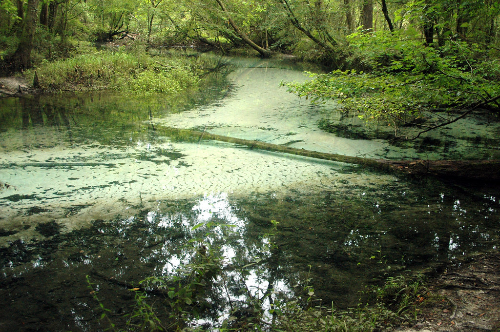 De Leon Springs State Park
