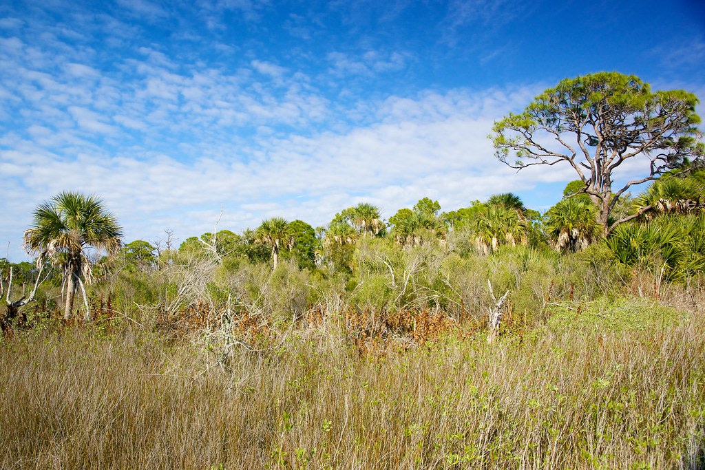 Don Pedro Island State Park