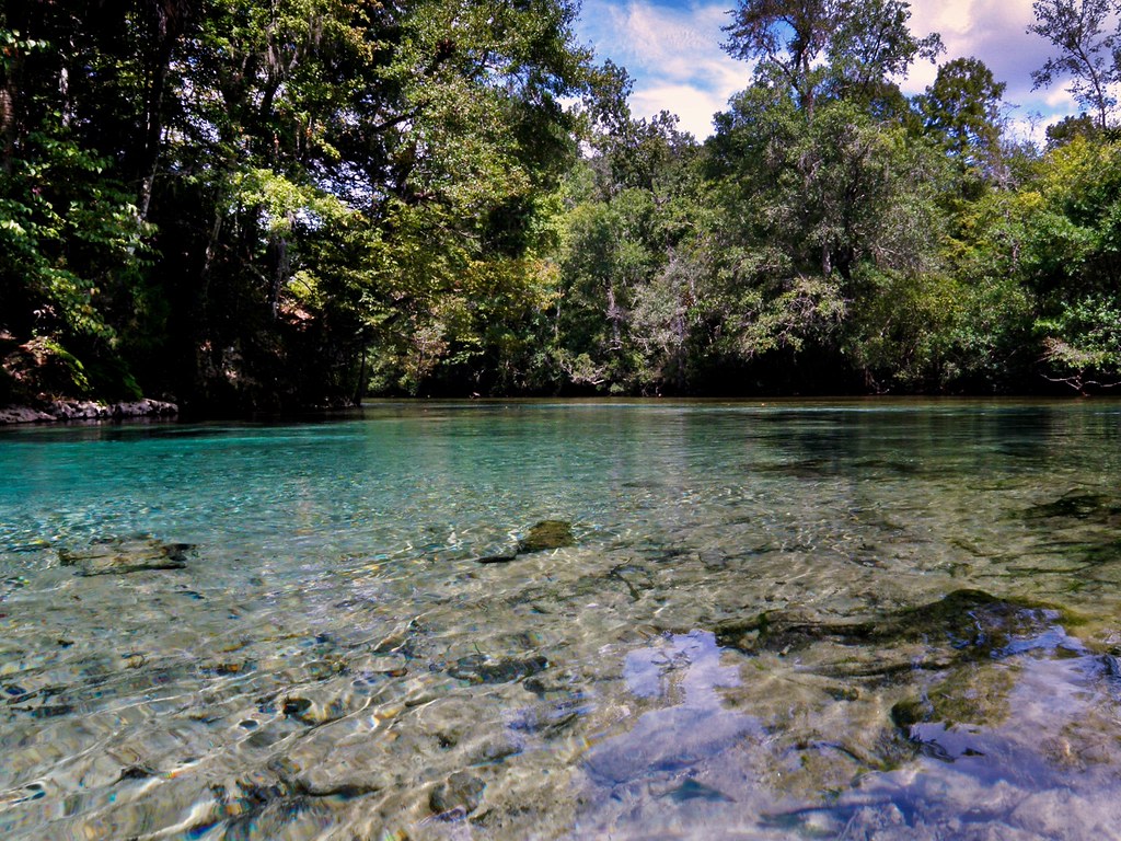 Econfina River State Park