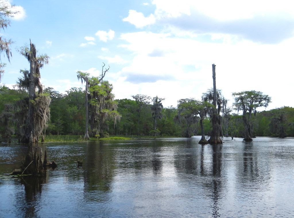 Edward Ball Wakulla Springs State Park