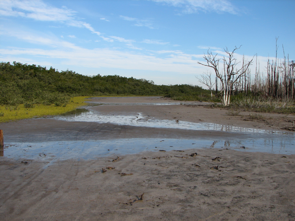 Estero Bay Preserve State Park