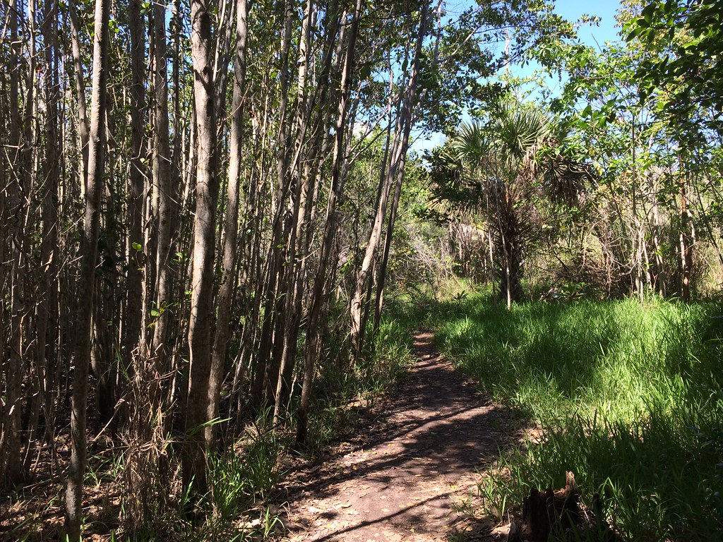 Hugh Taylor Birch State Park
