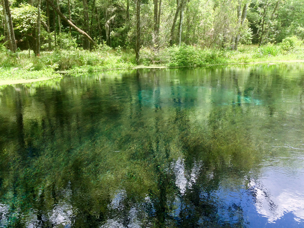 Ichetucknee Springs State Park