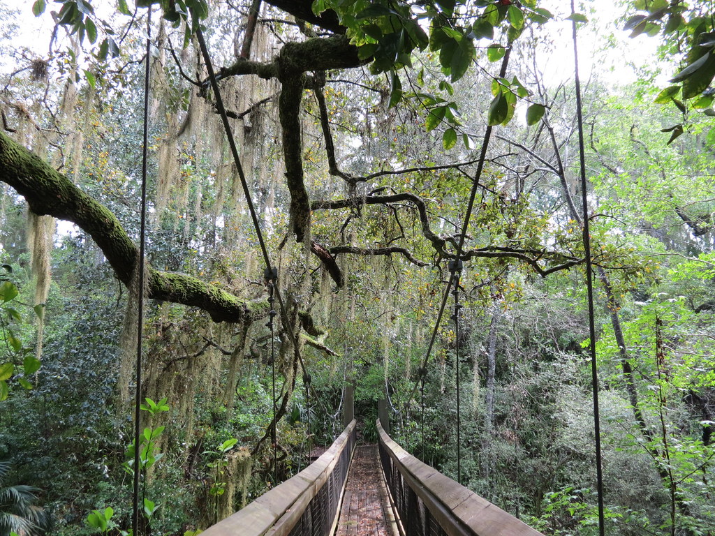 Ravine Gardens State Park