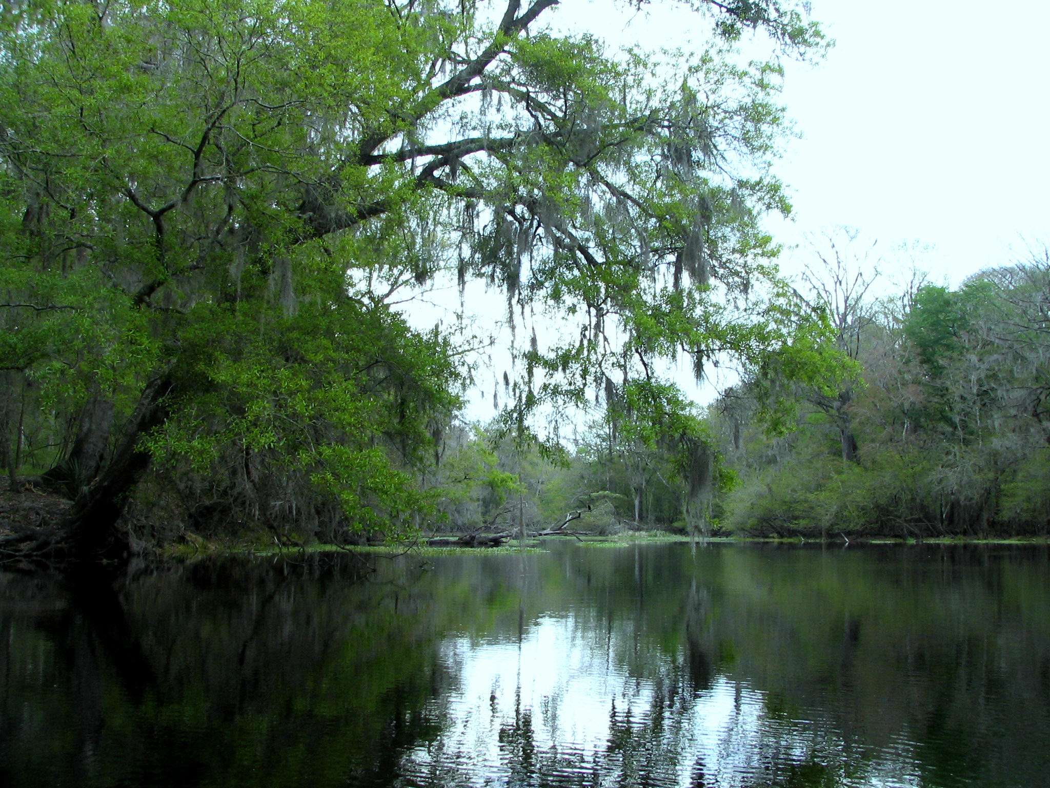 River Rise Preserve State Park