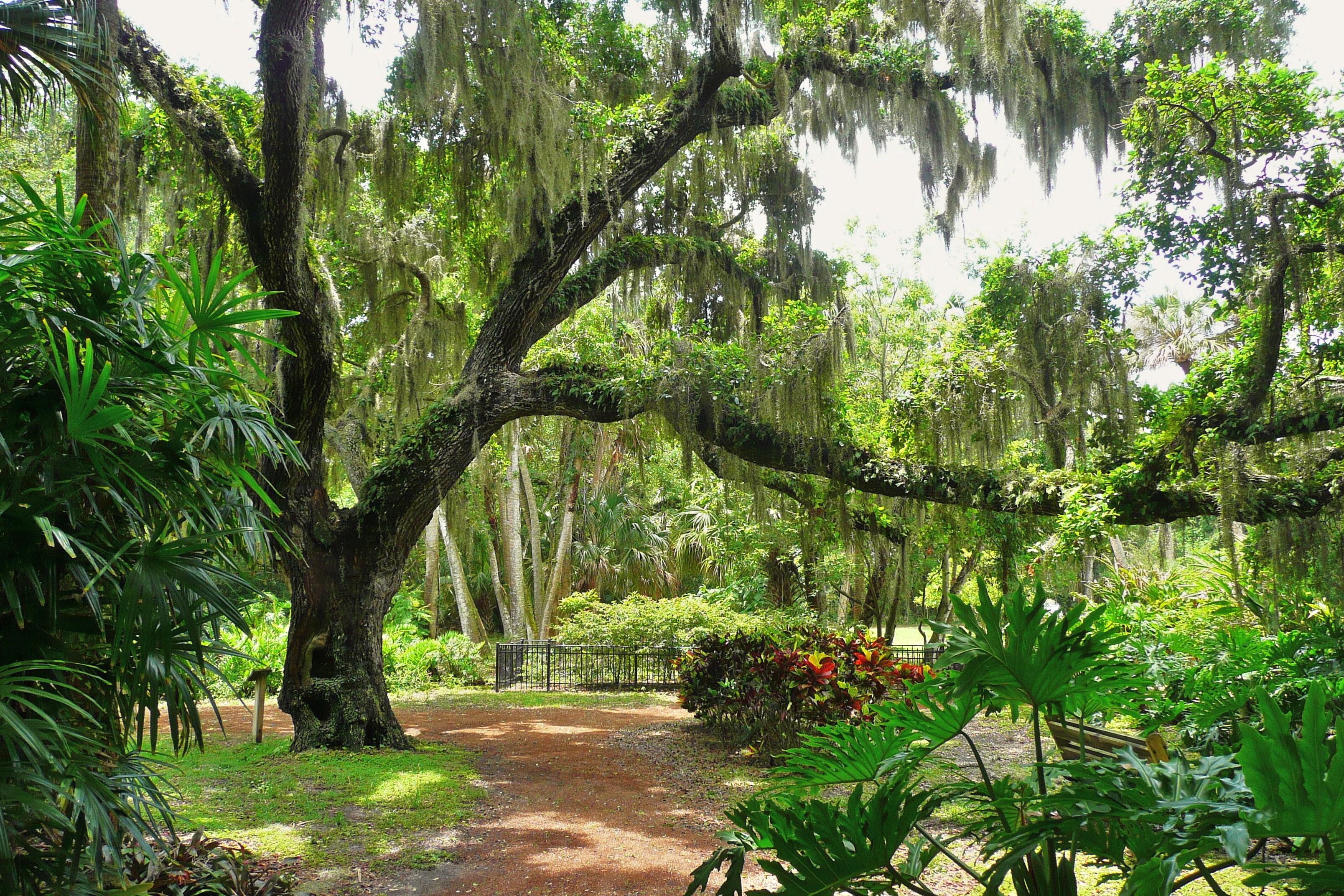 Washington Oaks Gardens State Park