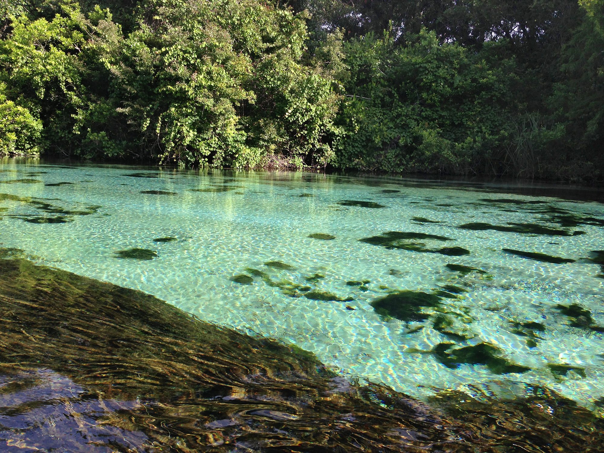 Weeki Wachee Springs State Park
