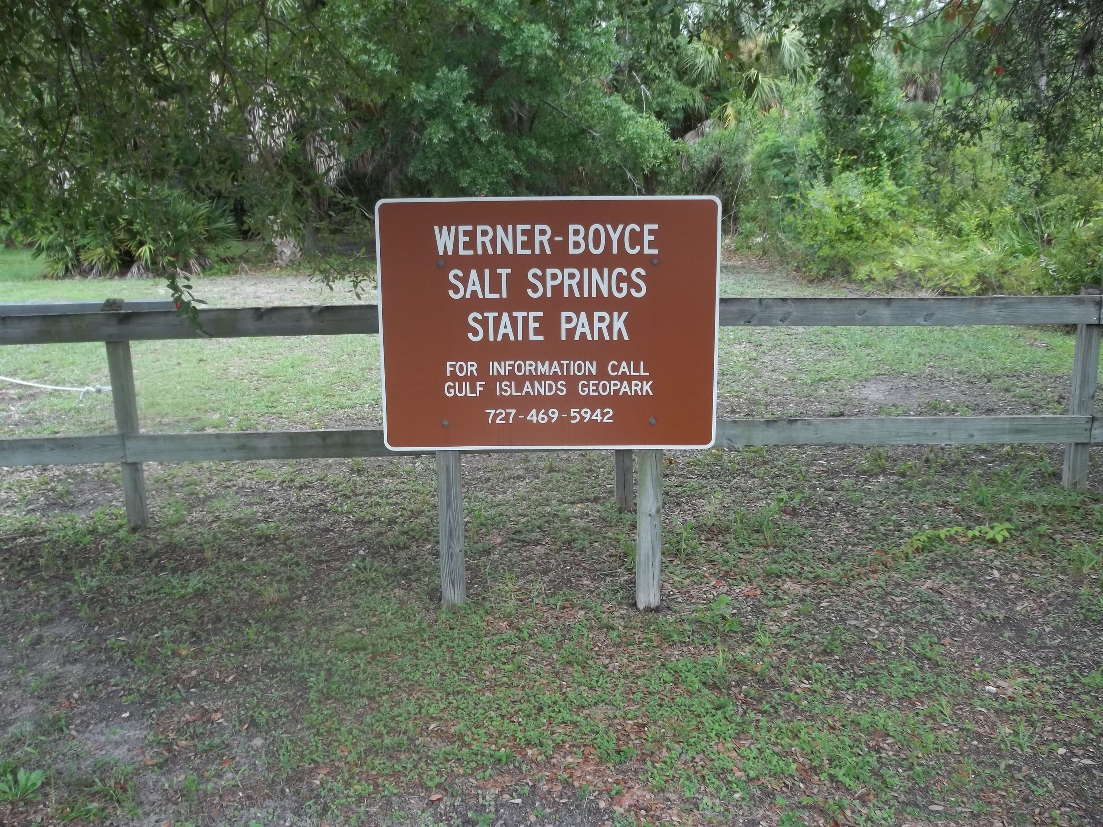 Werner-Boyce Salt Springs State Park