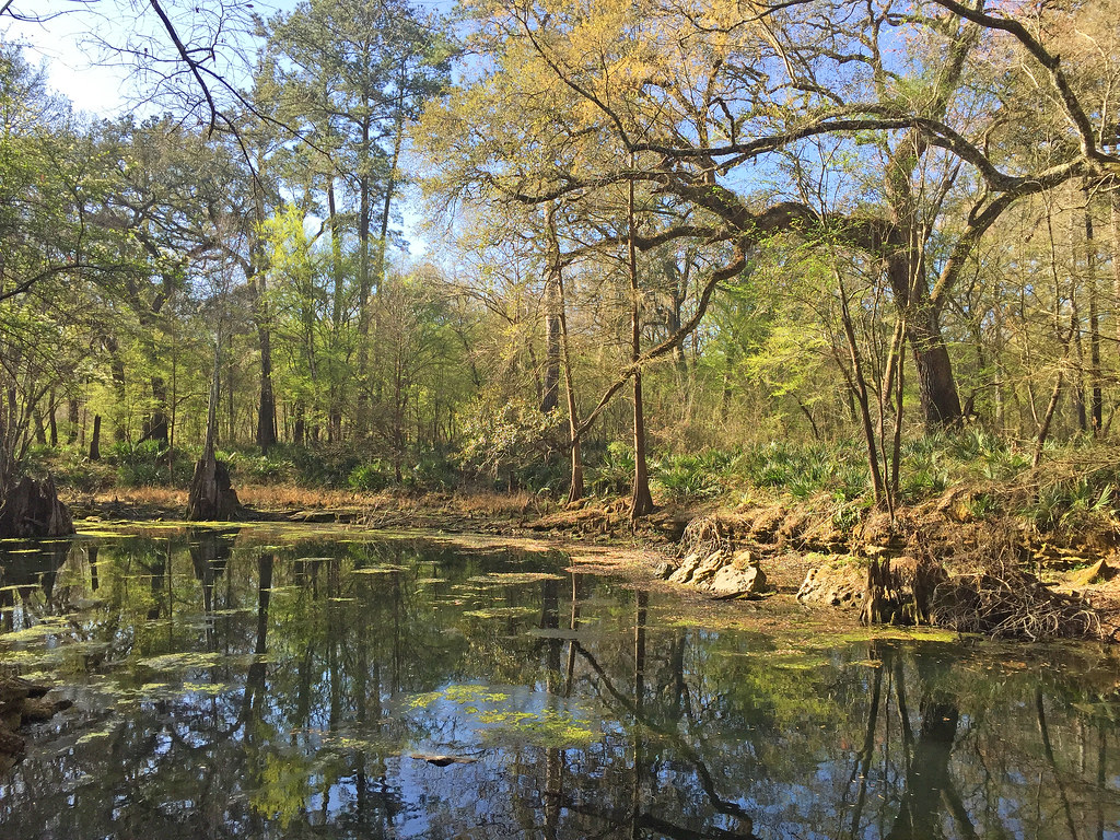 Wes Skiles Peacock Springs State Park