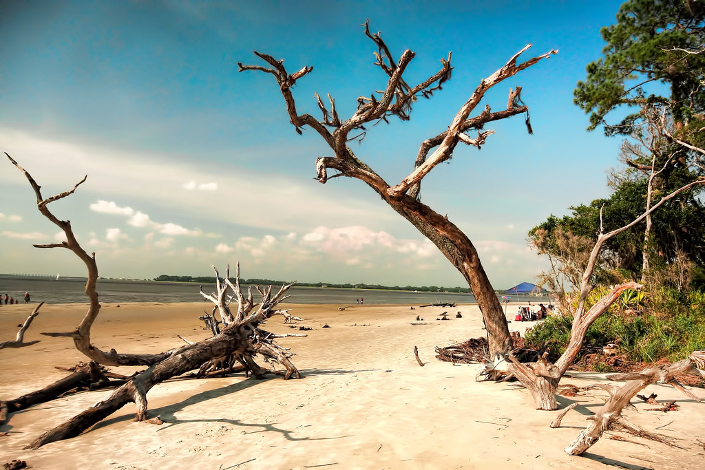 Jekyll Island State Park