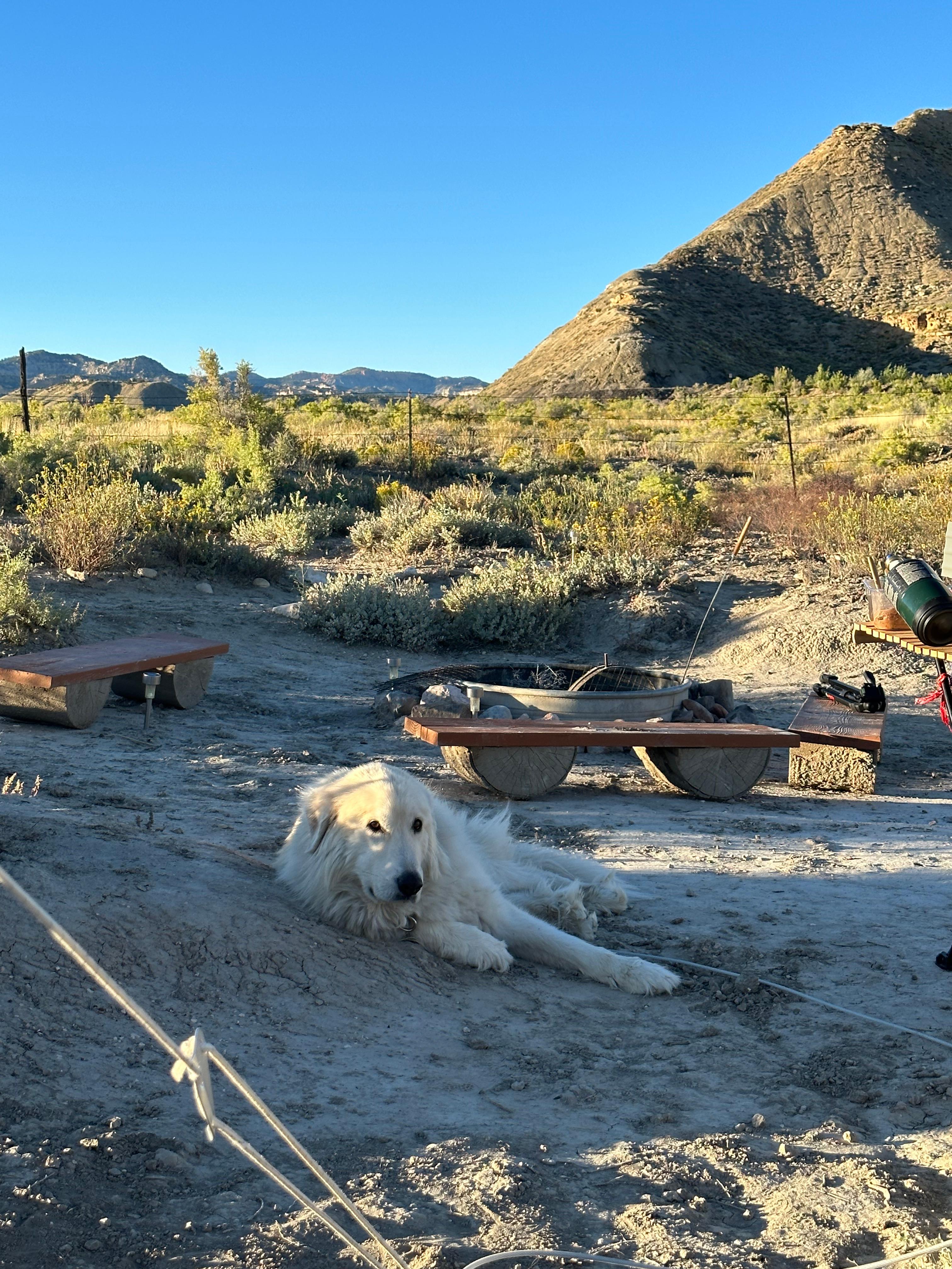 Bryce Canyon Wander Camp