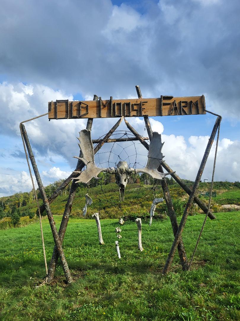 Old Moose Farm