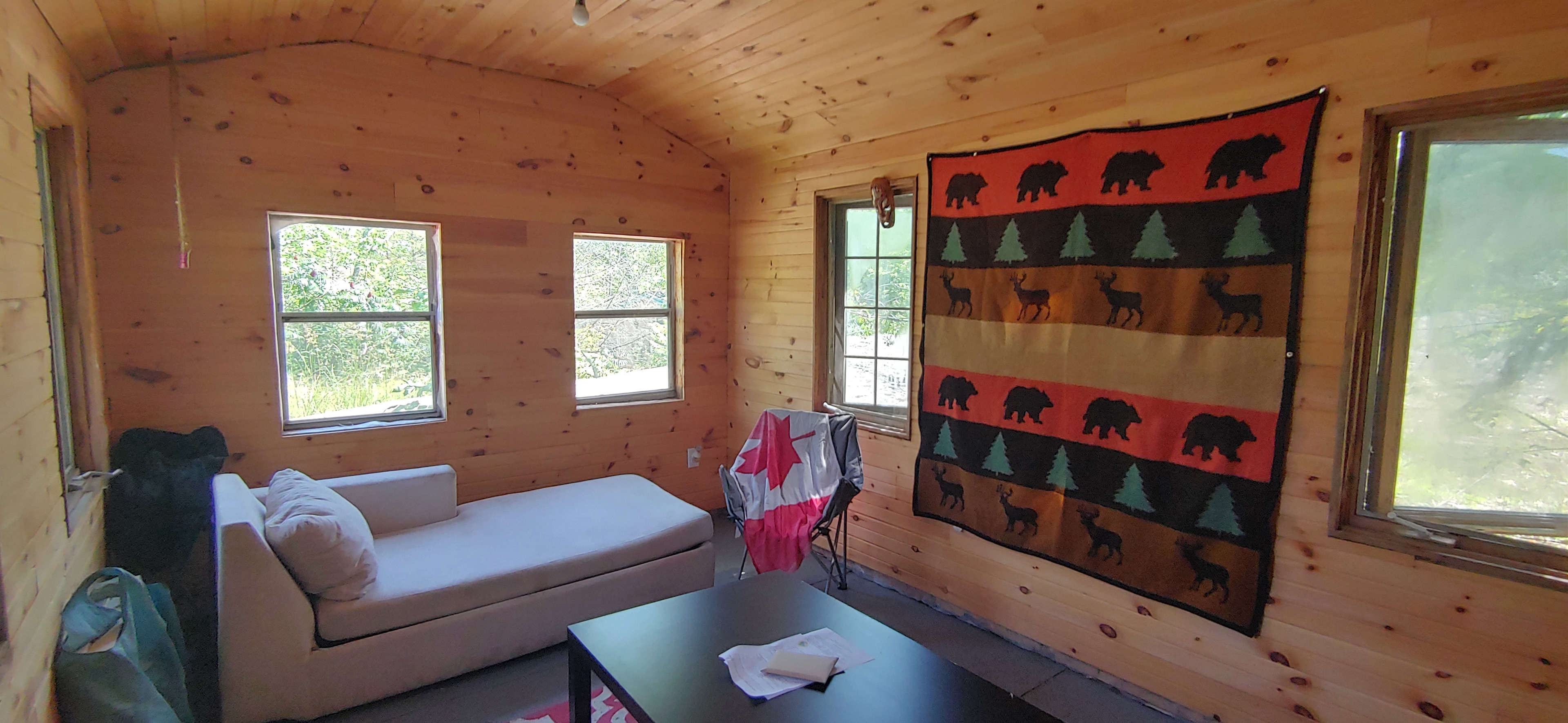 Solitary oasis on a rock