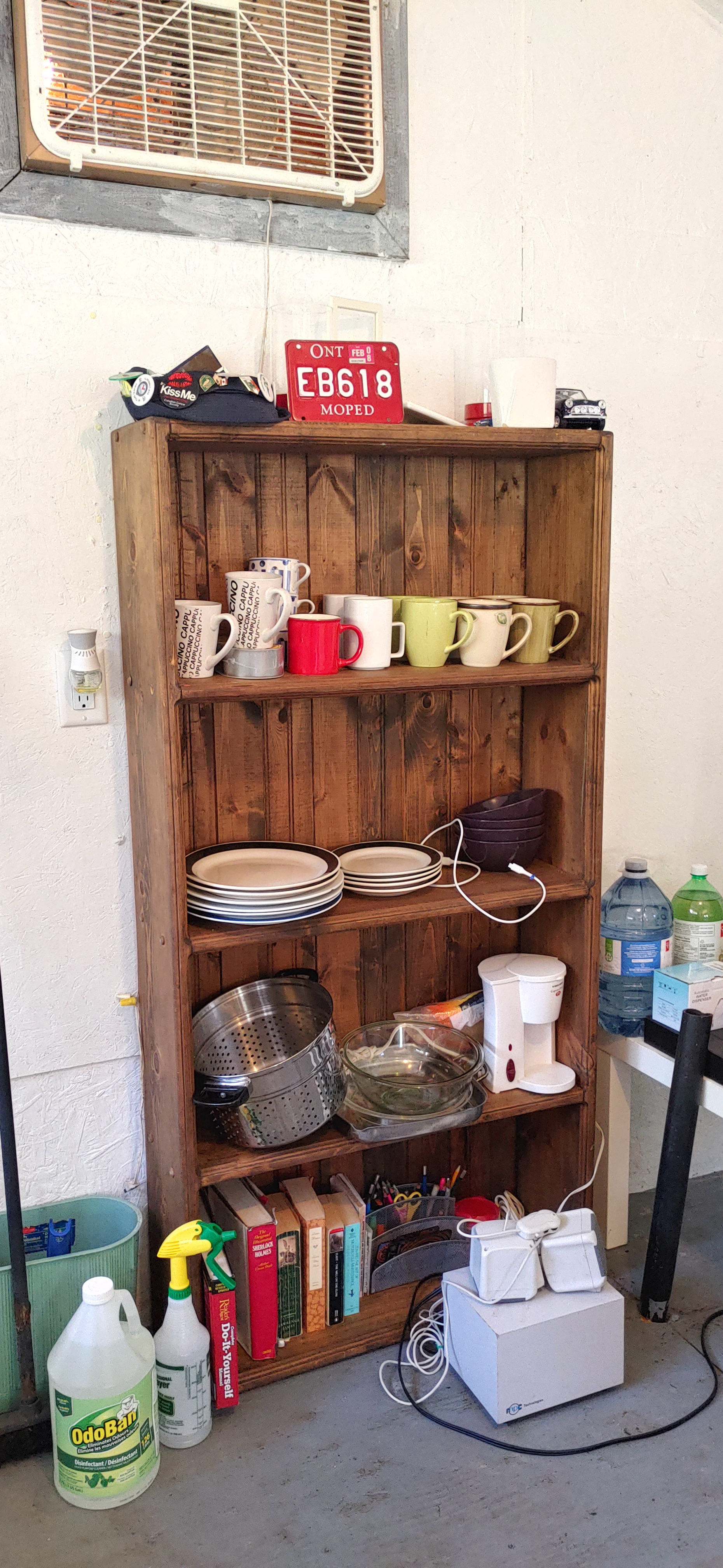 Solitary oasis on a rock