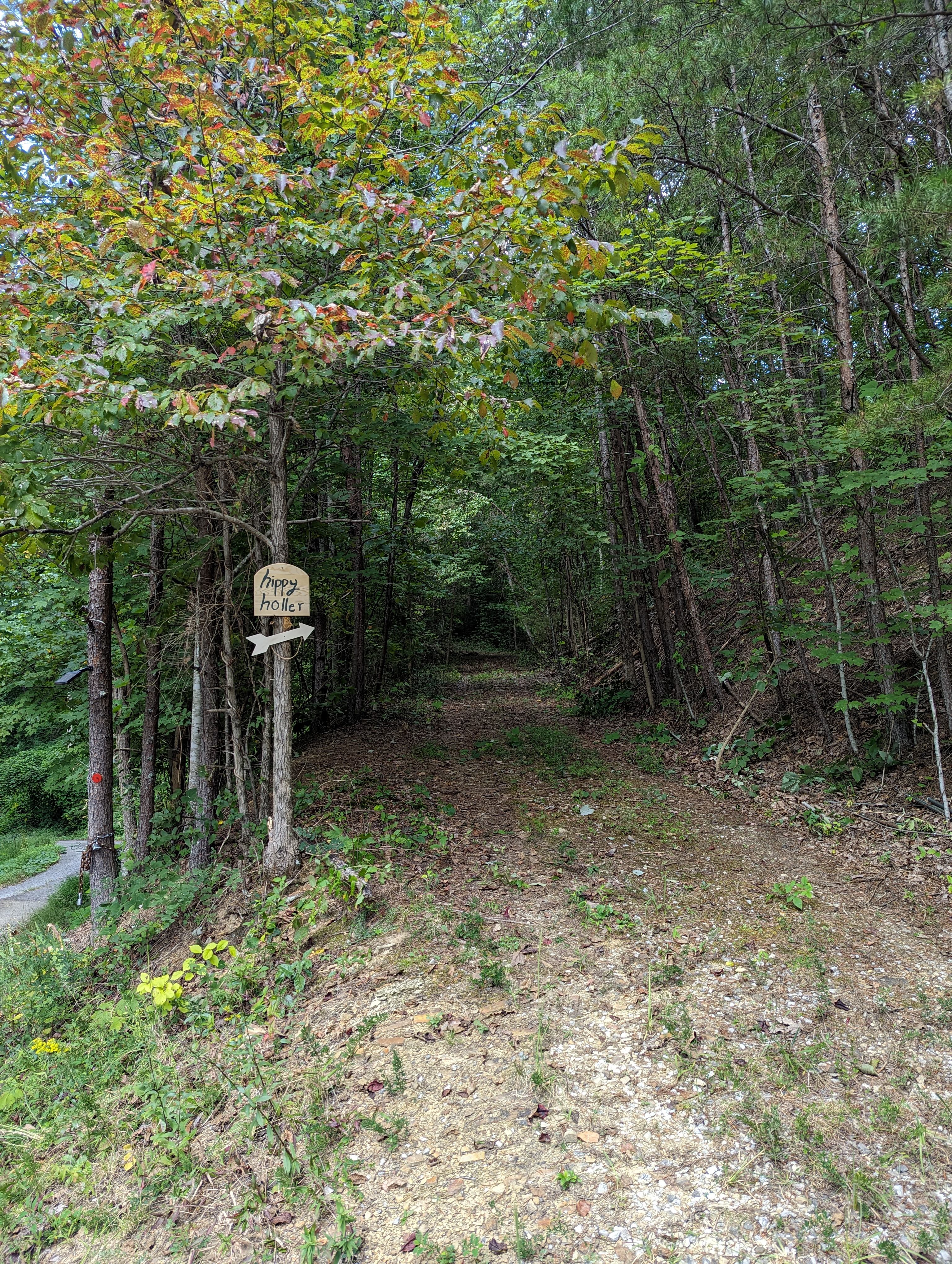 Welcome to Hippy Holler!
