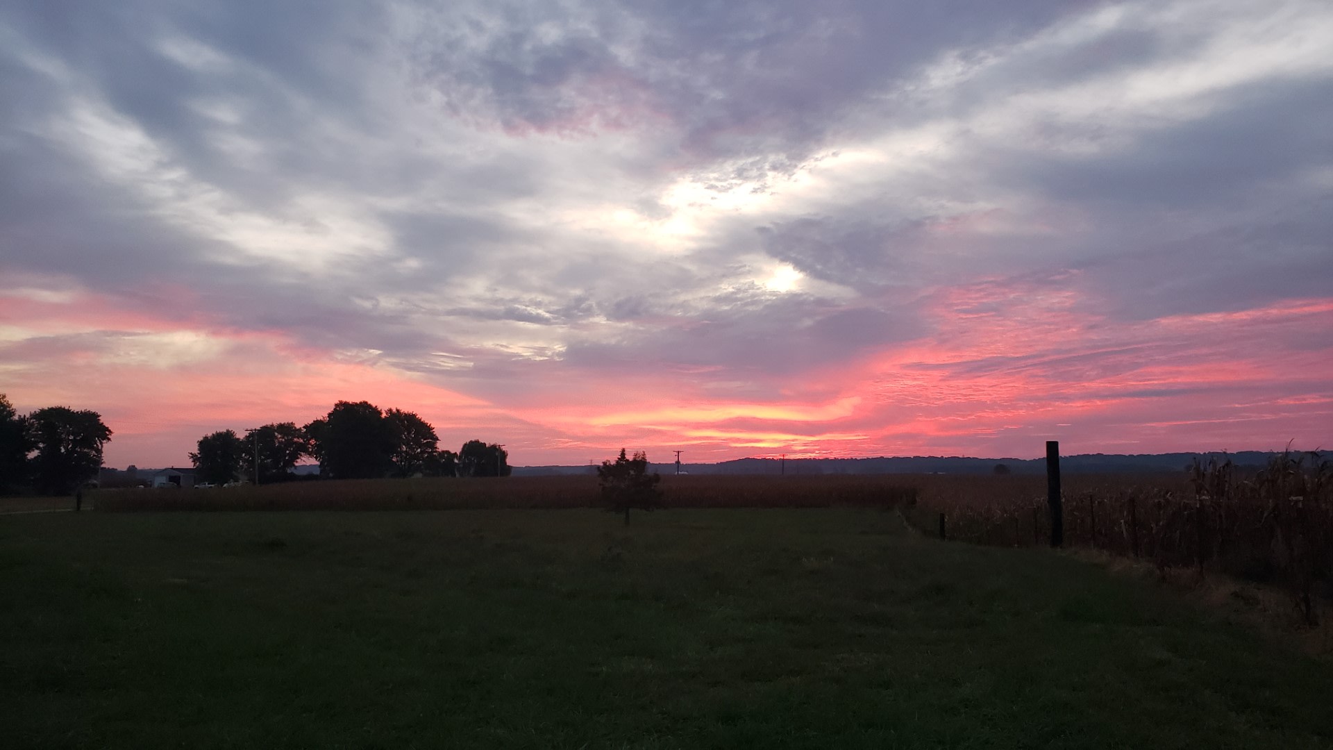 R & T Farms