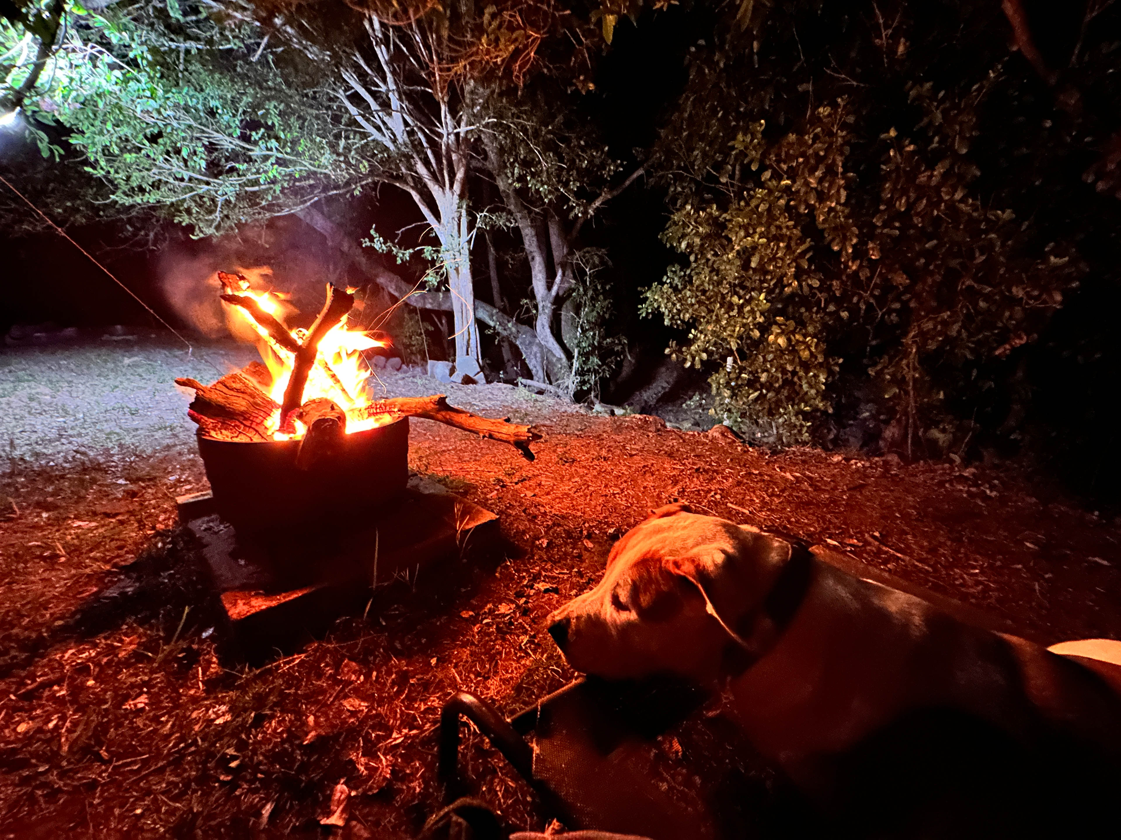 Blue Tree Campground