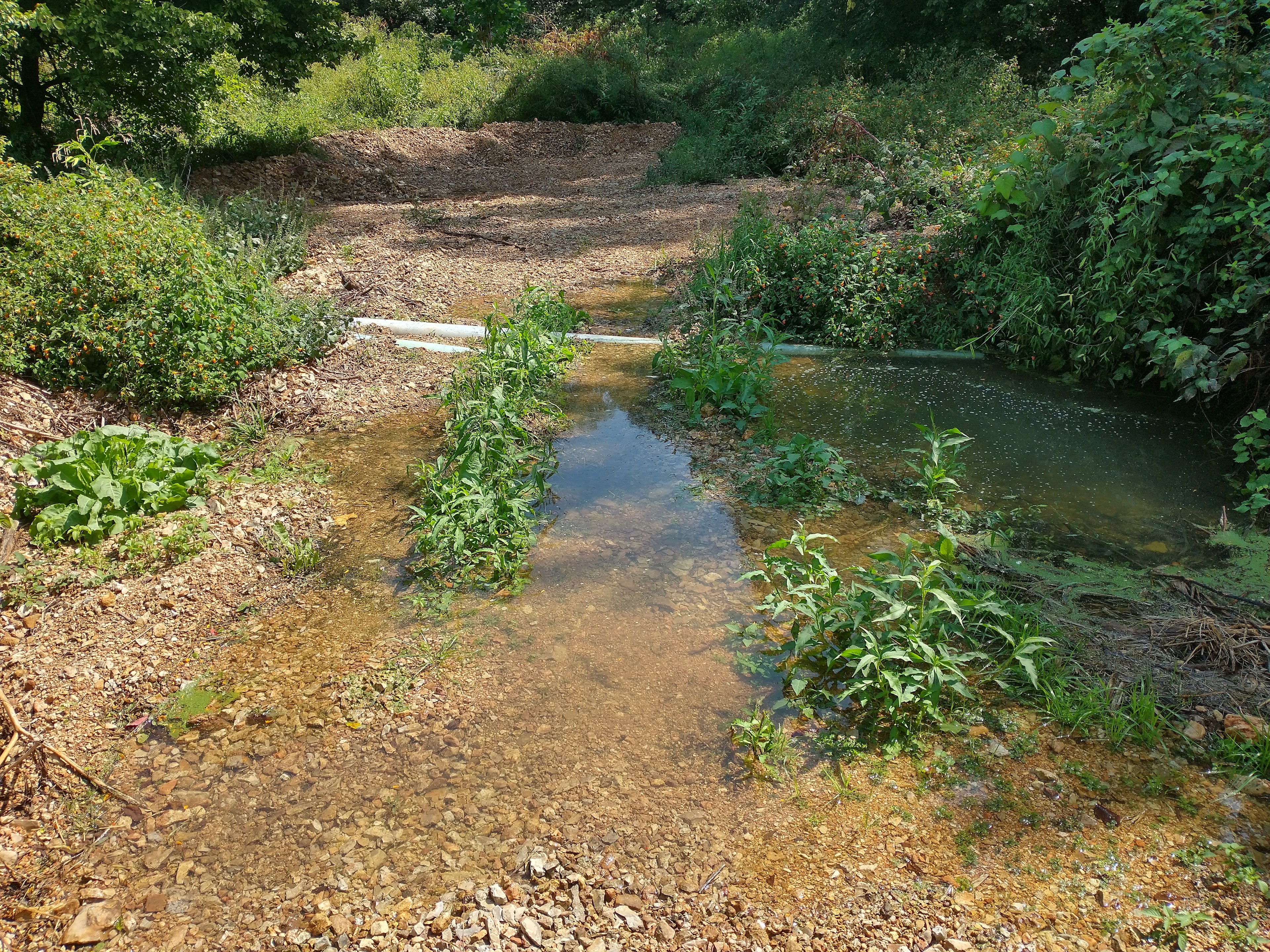 Got lots of rain last night. 