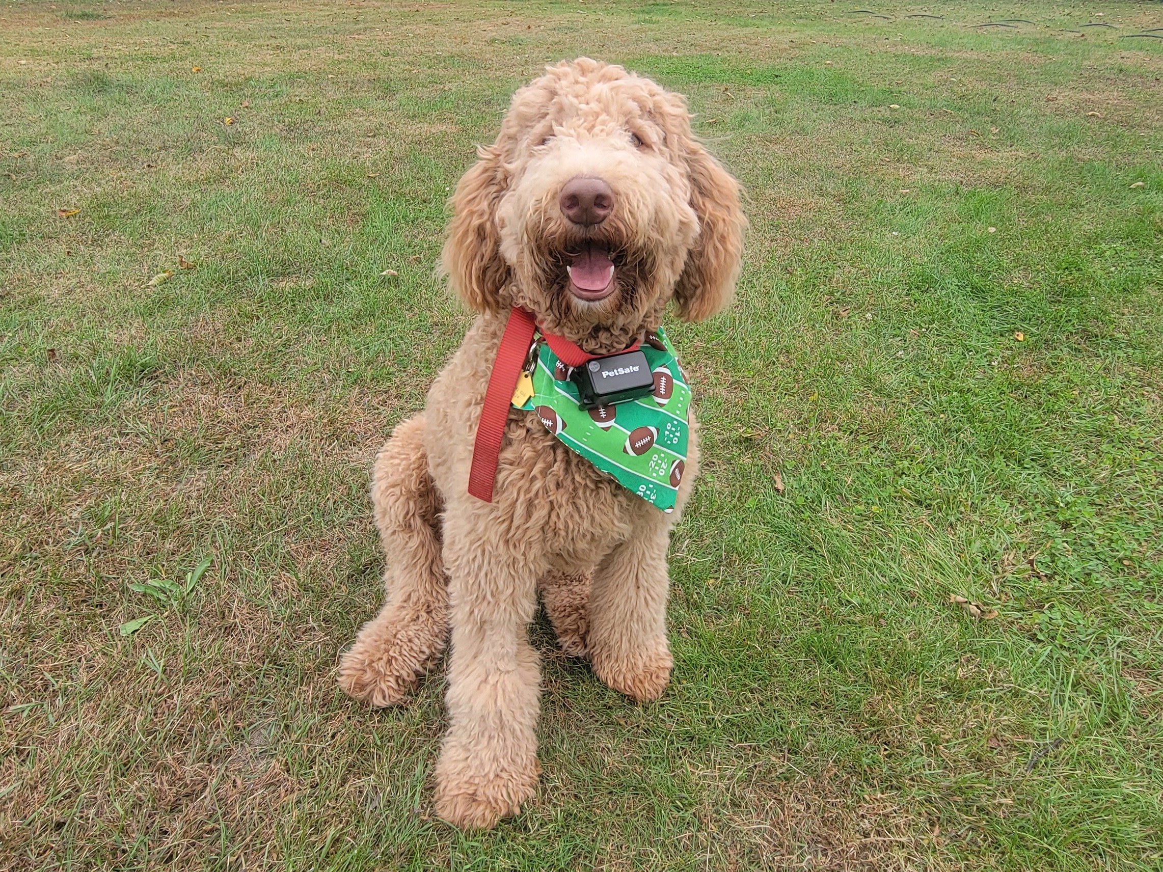 Mollie Mae's Chicken Ranch