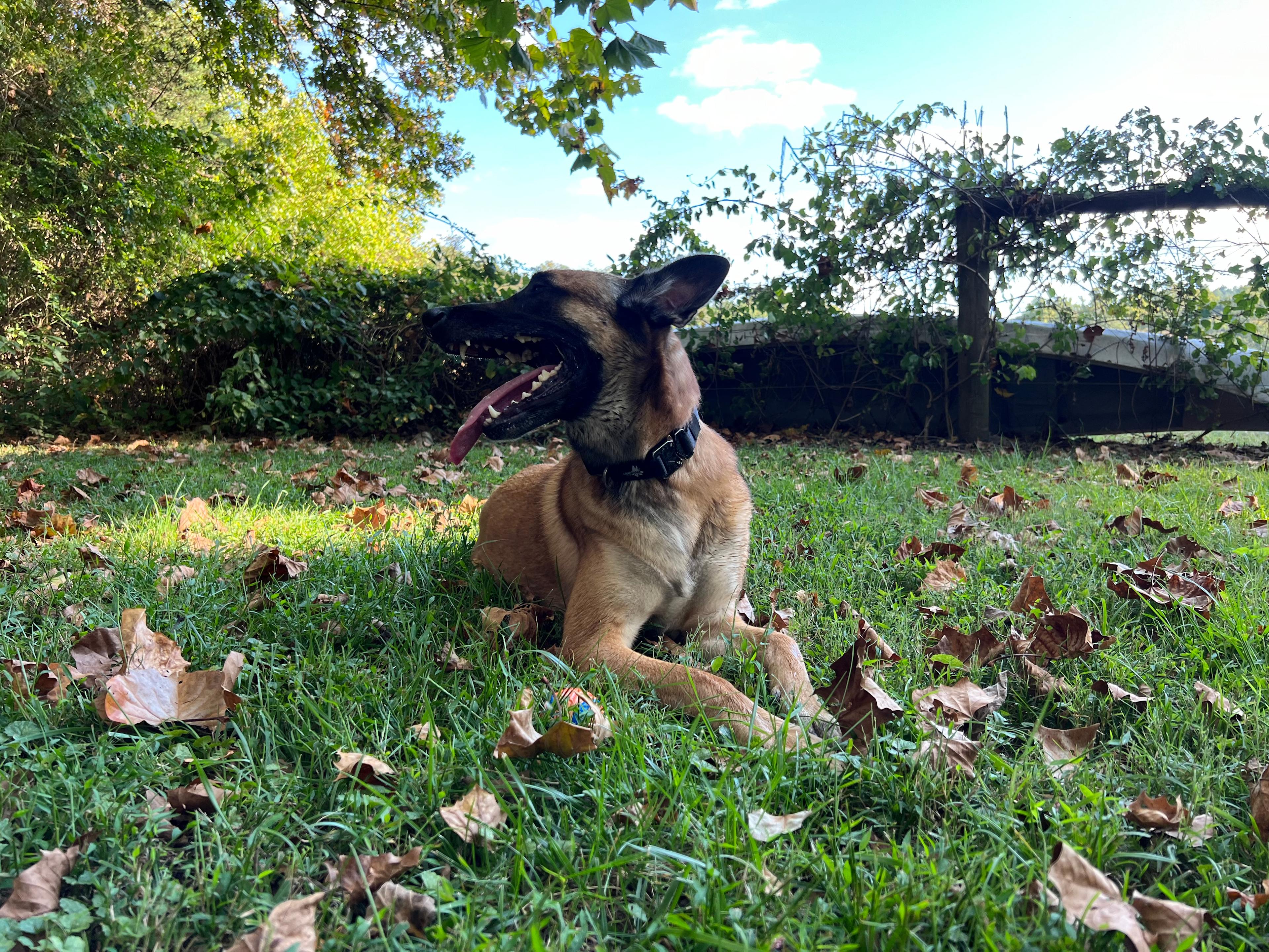 Camping in the shade on the river