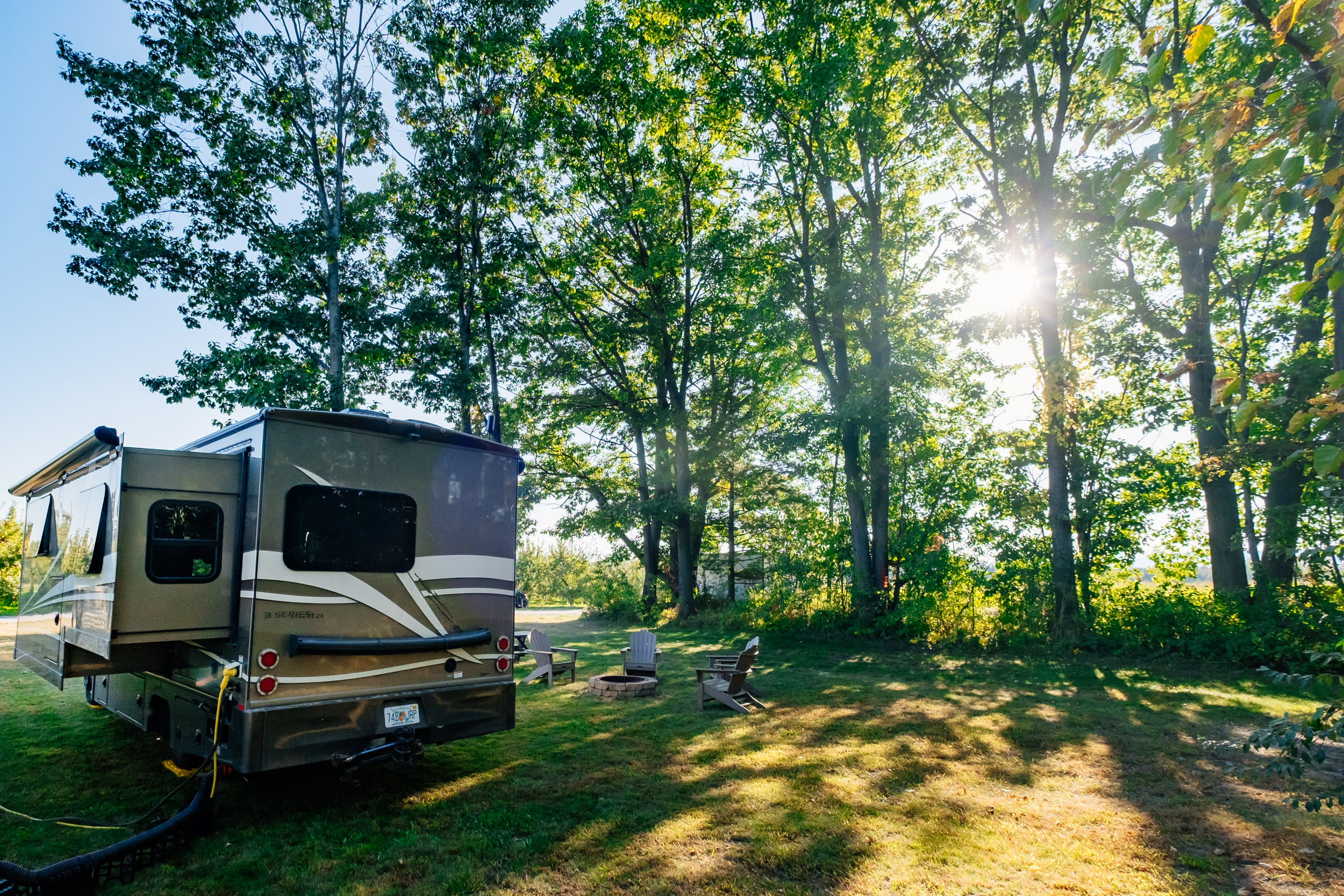 Sun through the trees