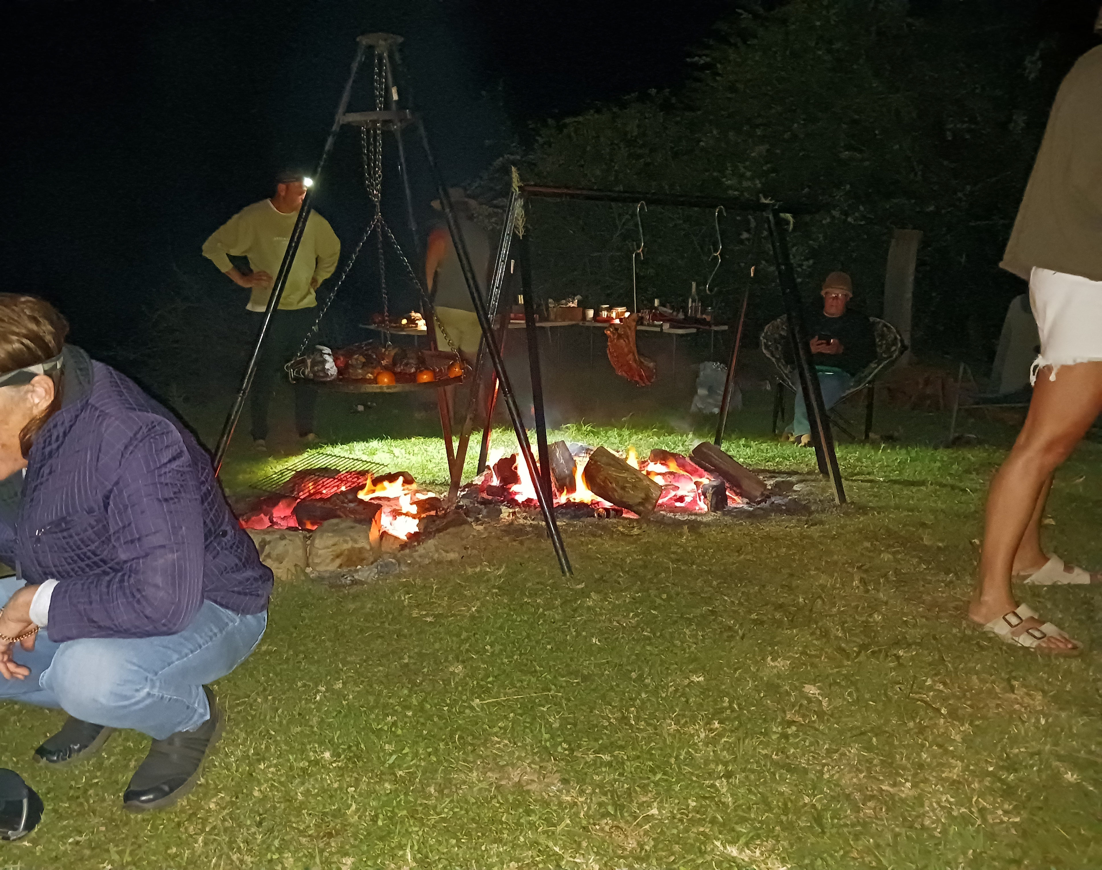 Bellinger River Camping