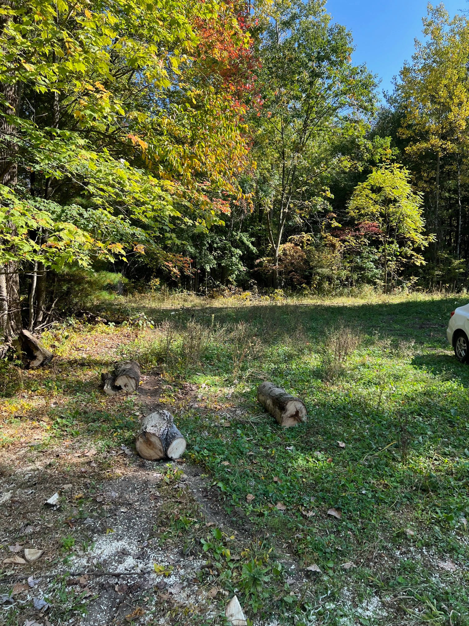 Pineground Retreat