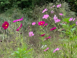 The Kilns @ The Red River Gorge