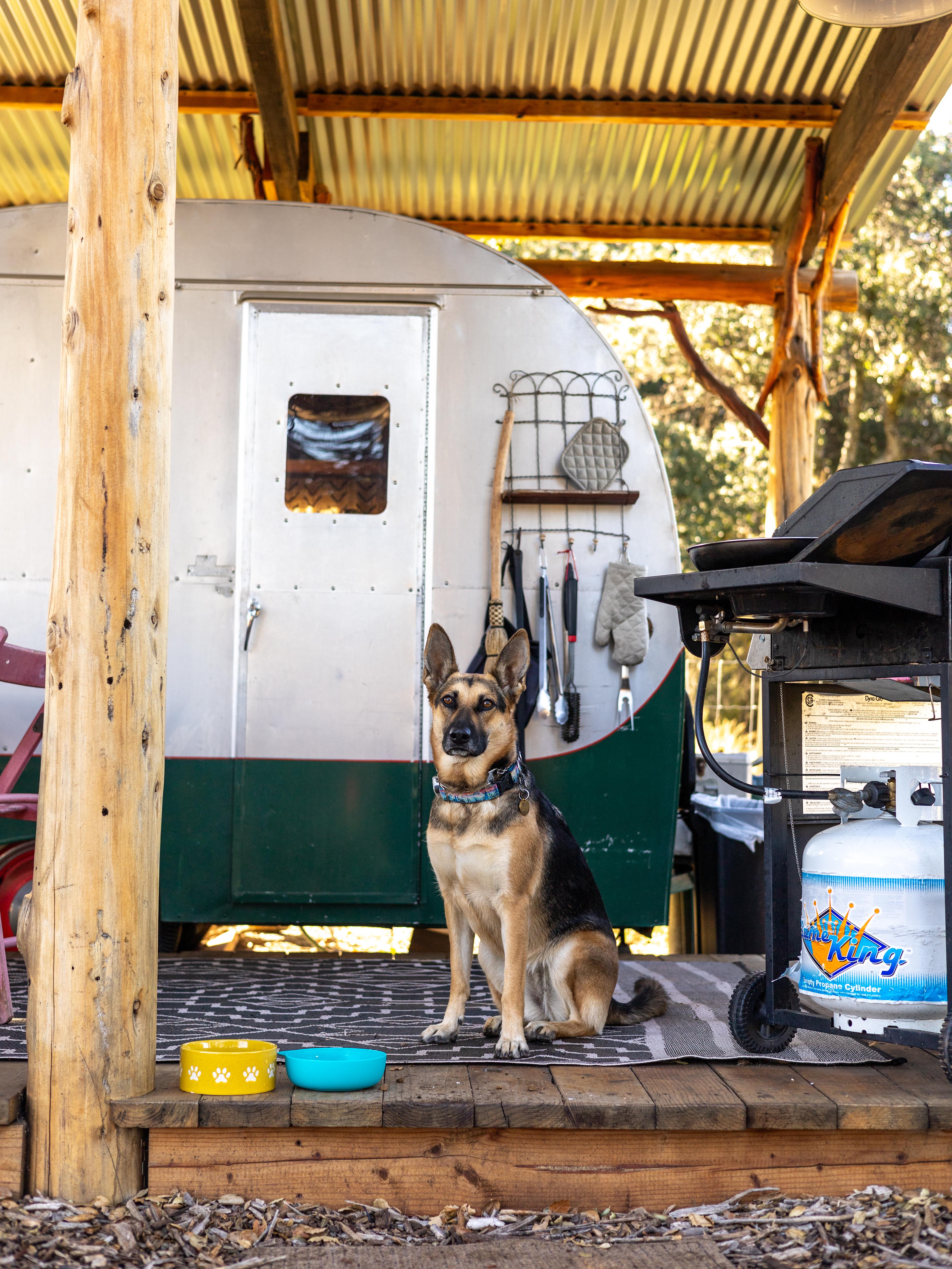 Birdsong Backcountry Retreat