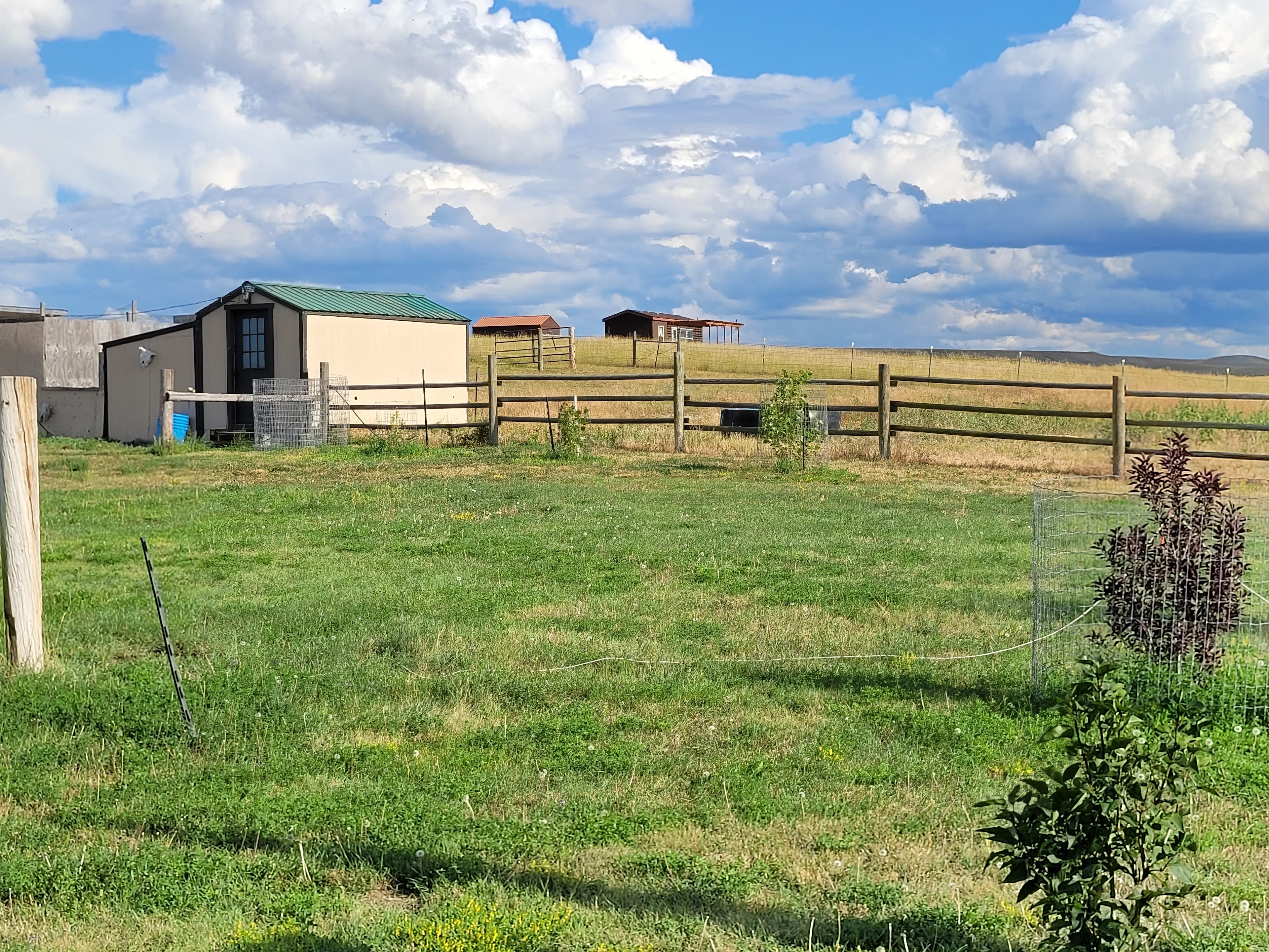Davis Ranch