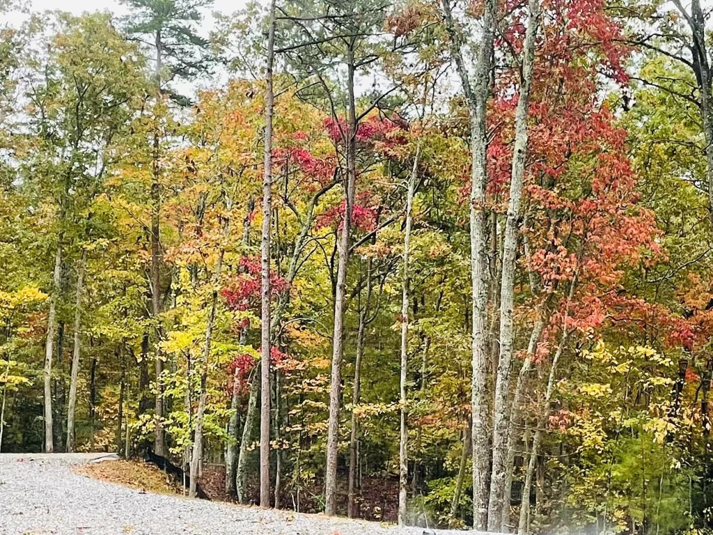 The Property at Mull Valley