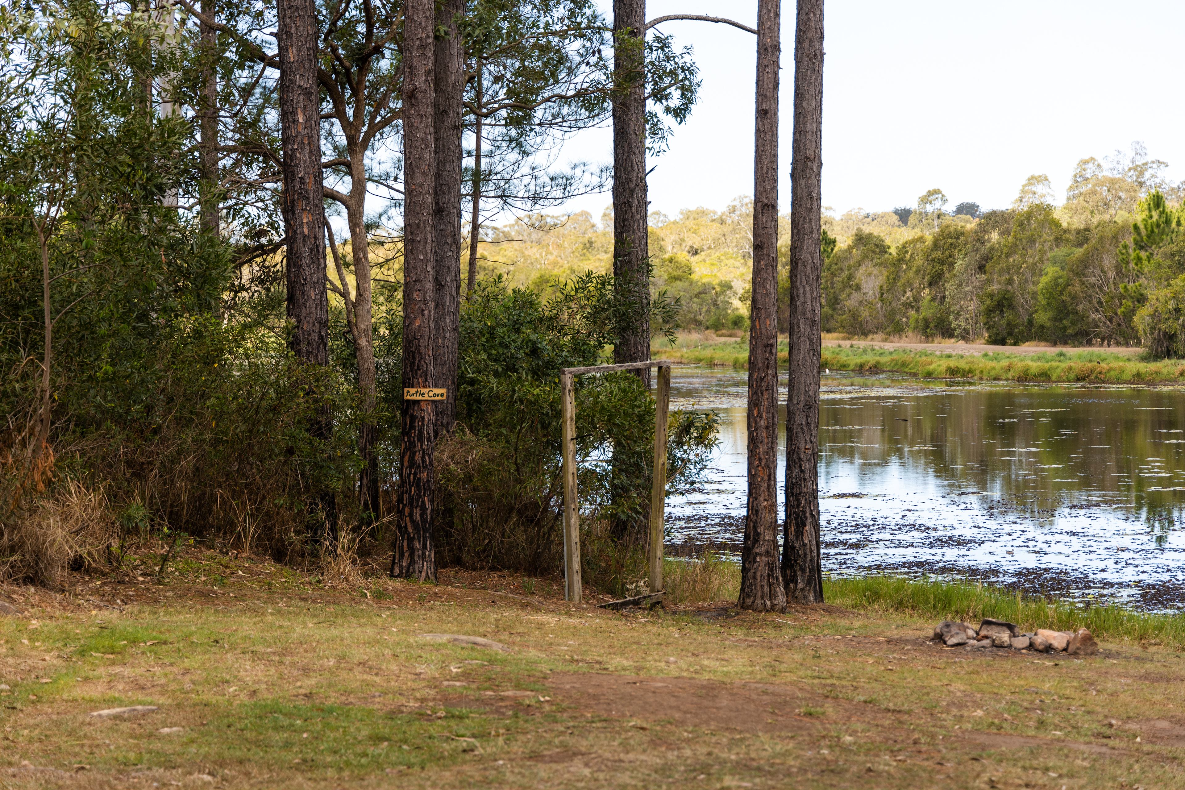 Turtle cove campsite