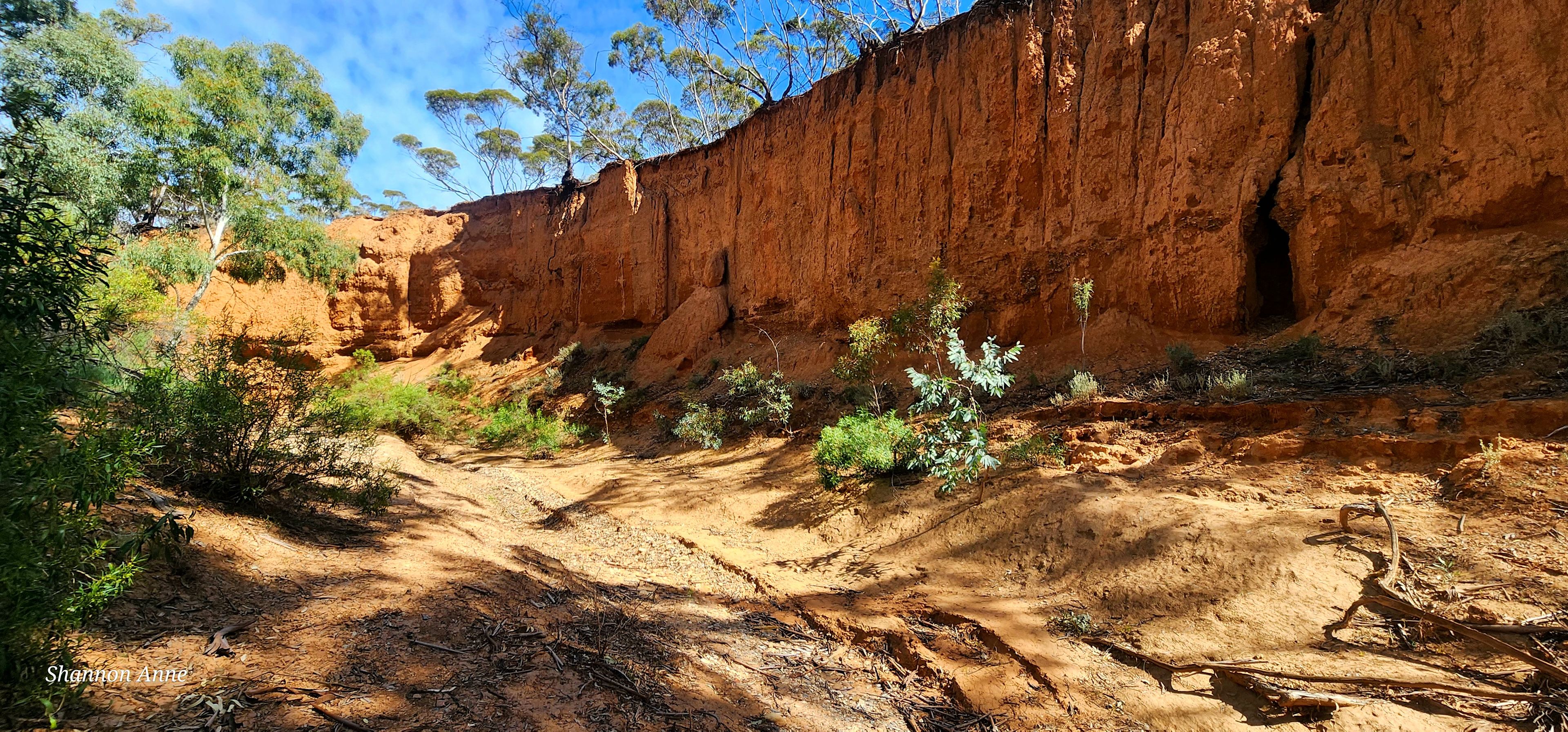 Burra Creek Camping