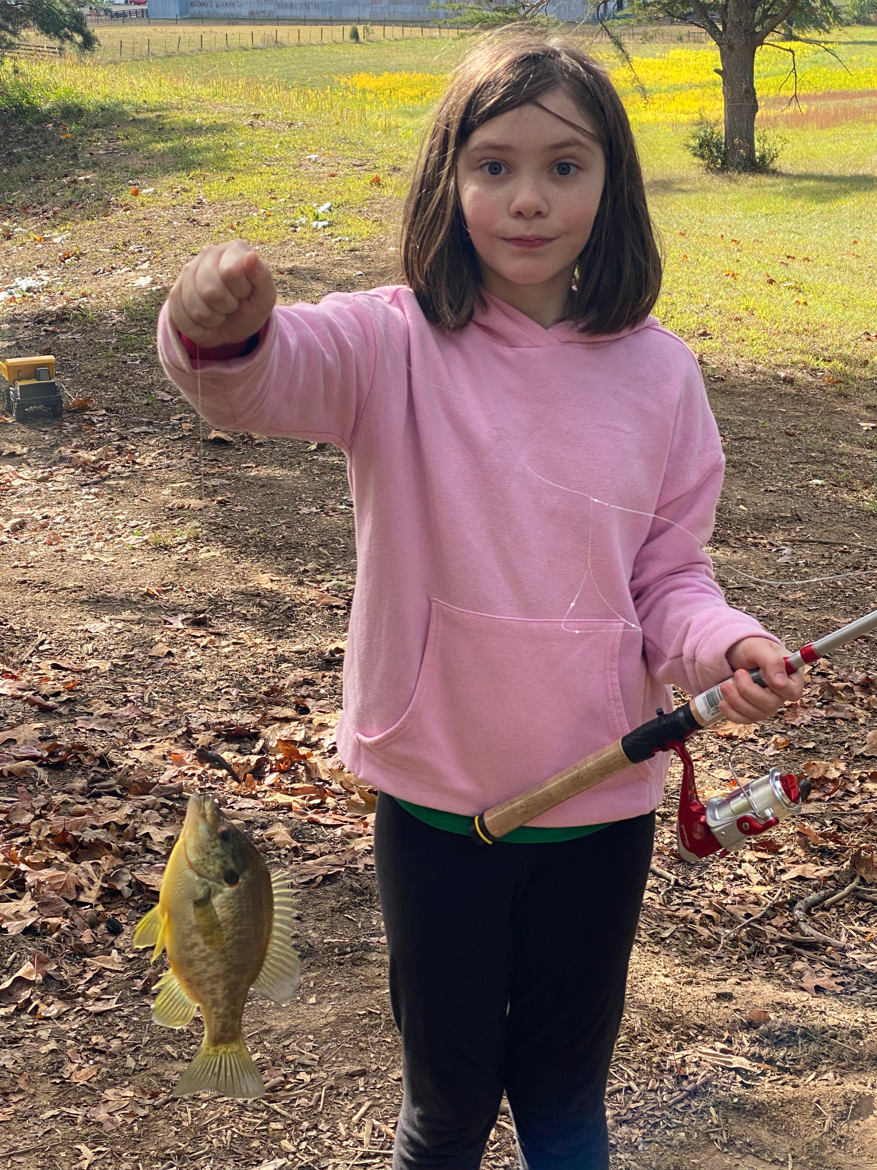 Lots of hungry fish!