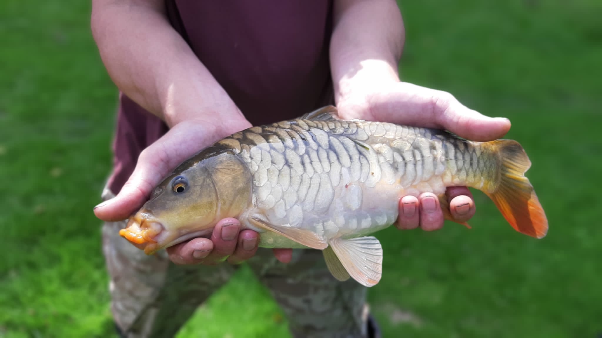 Northcombe Farm Shepherds Hut