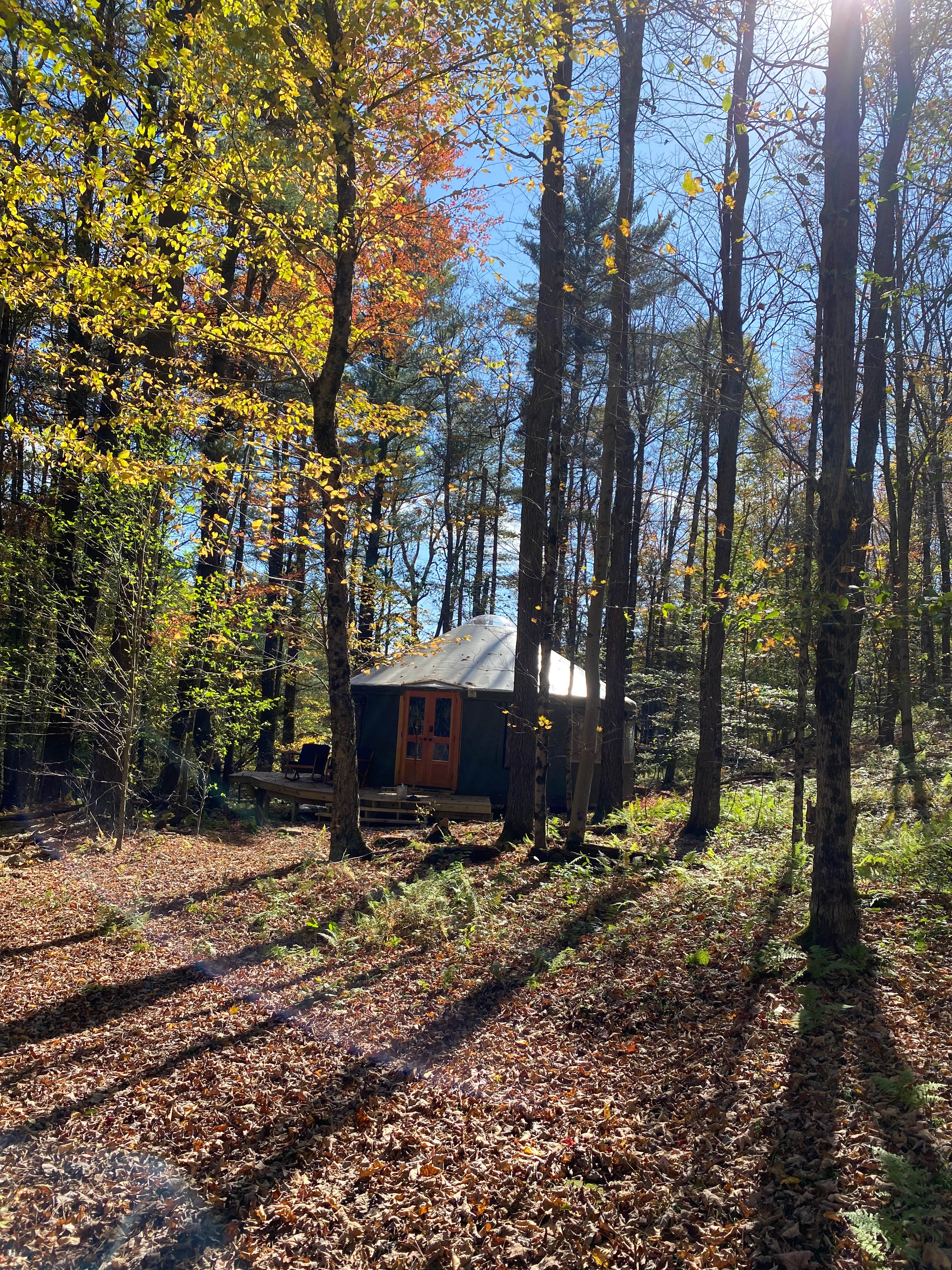 Glamping Yurt in Woods of Franklin