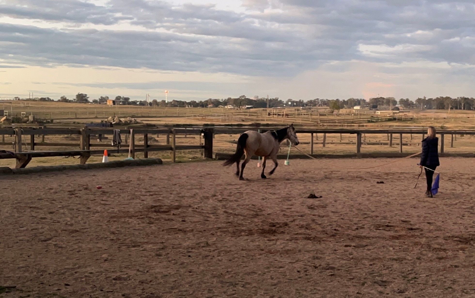Peppertree Pony Camp