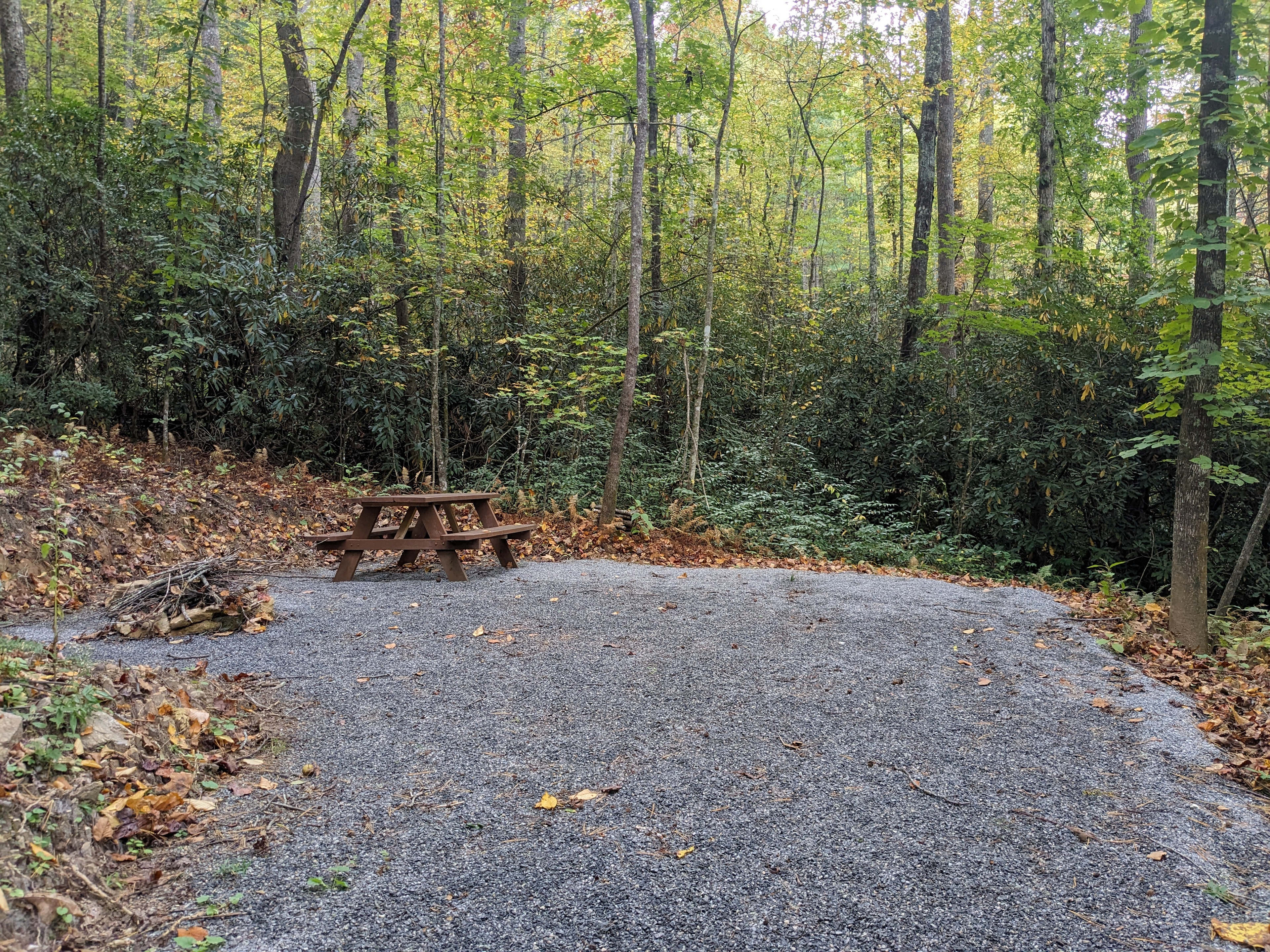 Chanterelle Campsite