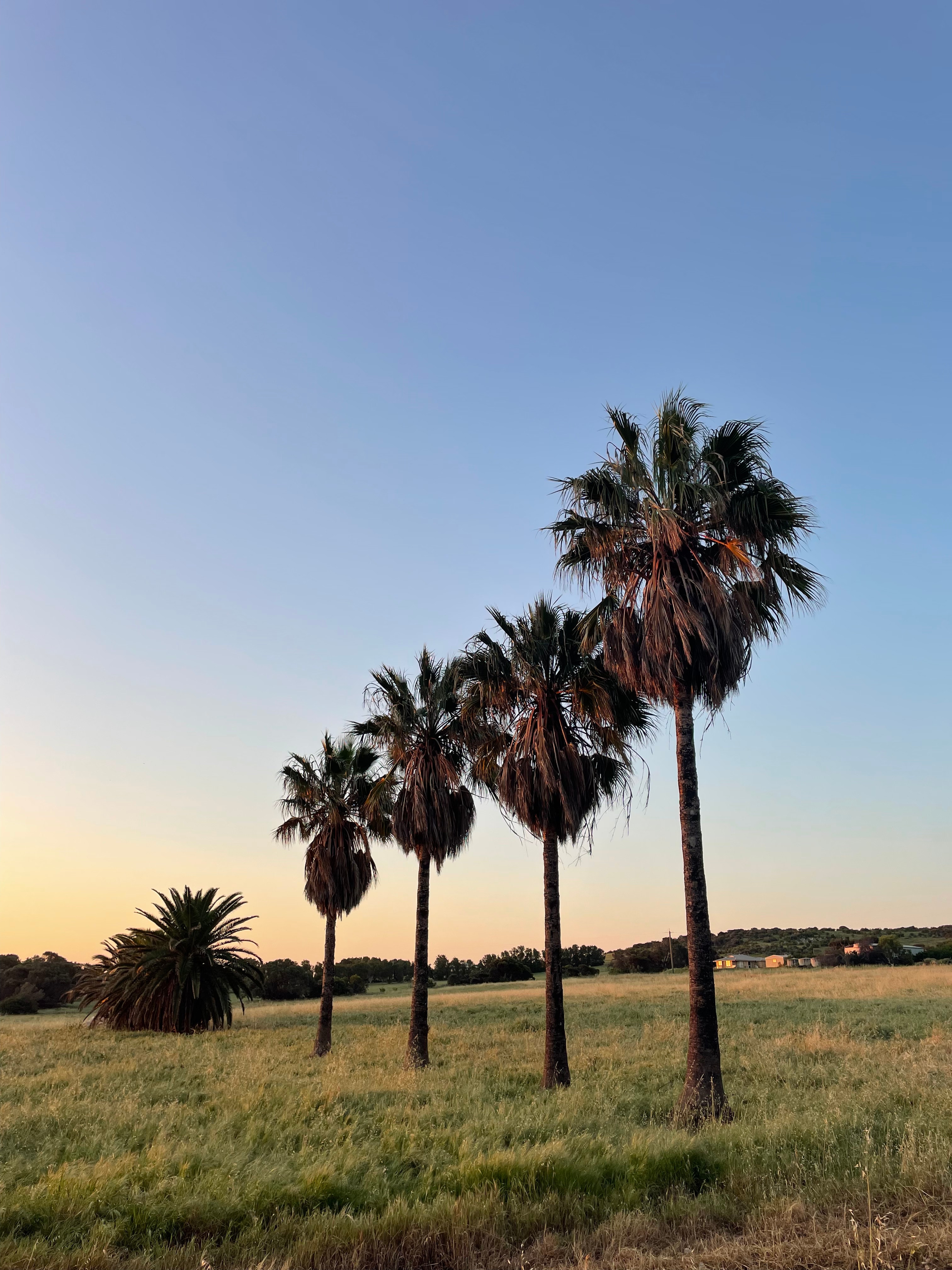 Greenough Nature Stay