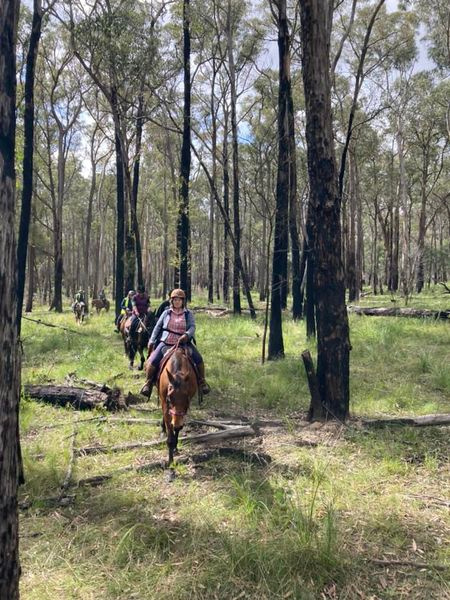 Mt Alfred Camping and Horse Riding