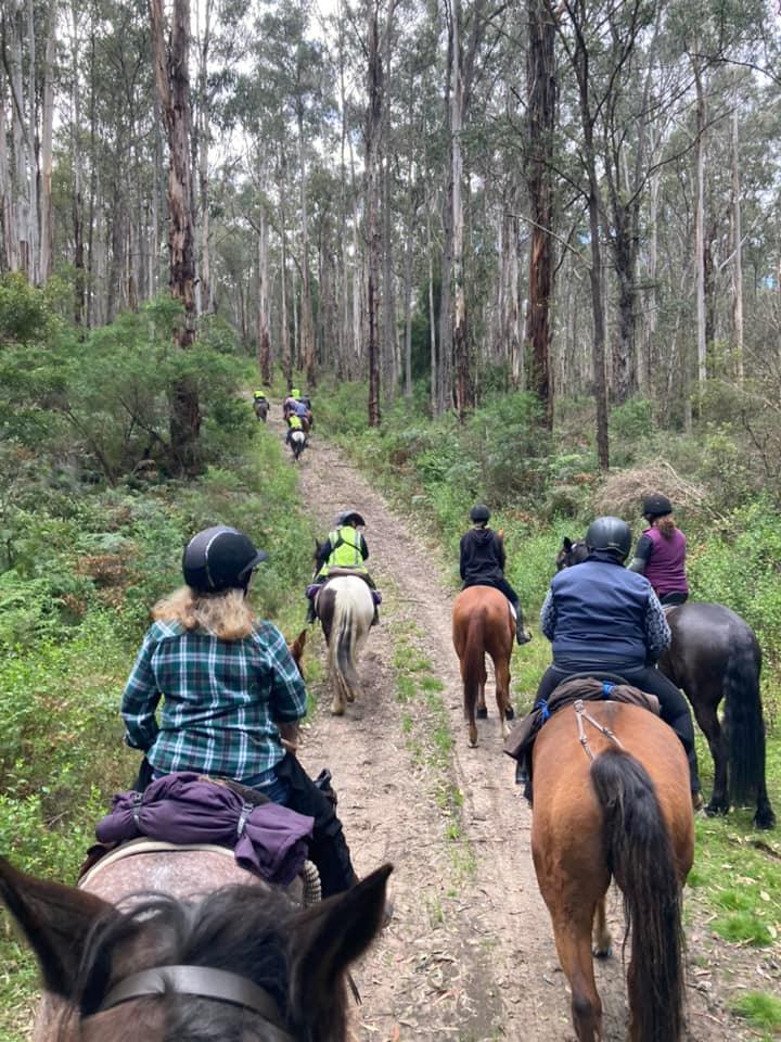 Mt Alfred Camping and Horse Riding