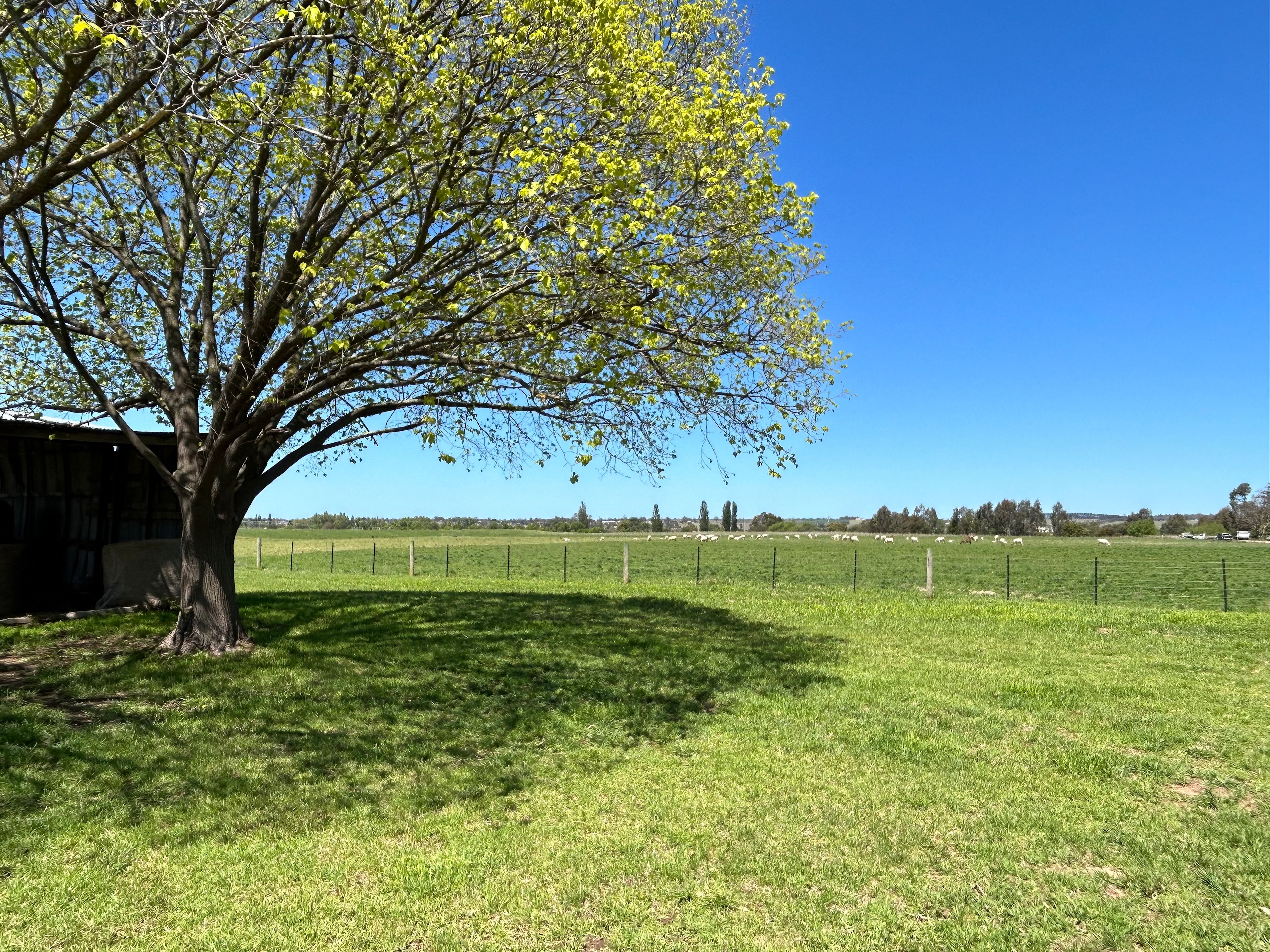 Looking south from behind the campsite area