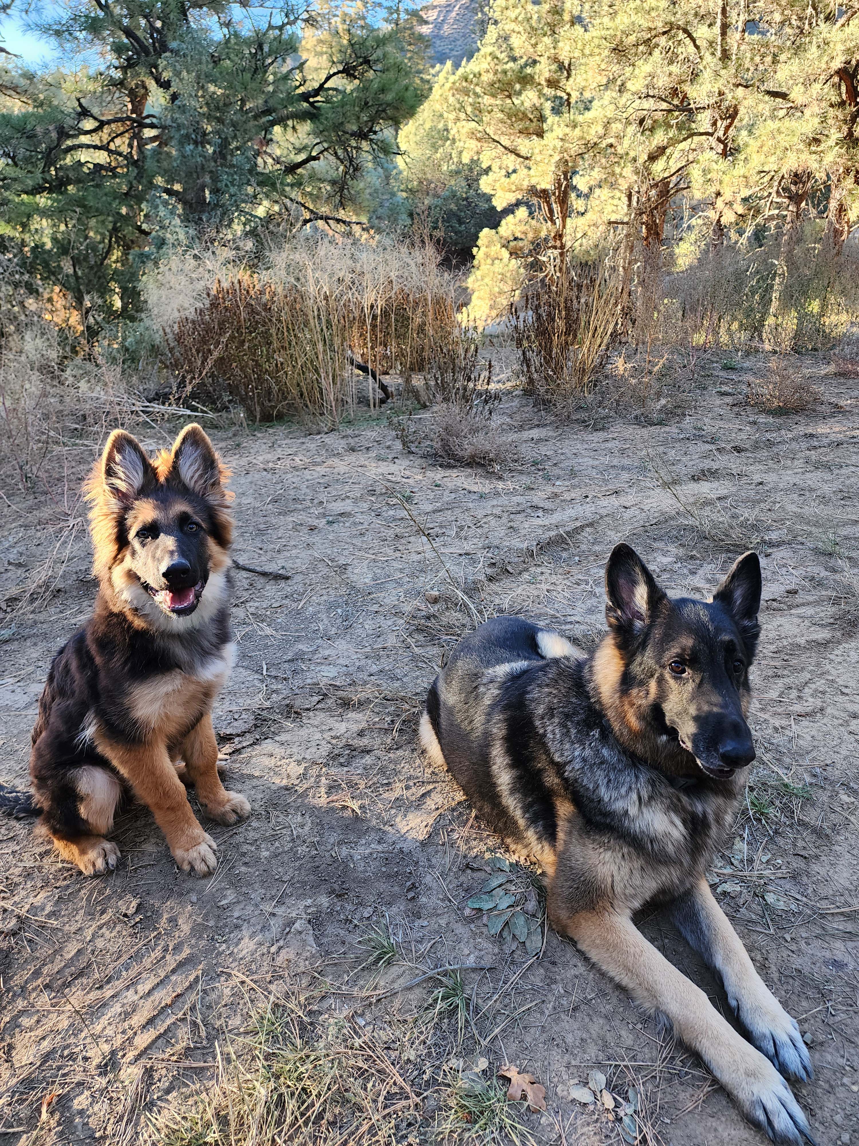 Lower Blanco Camping Hideaway