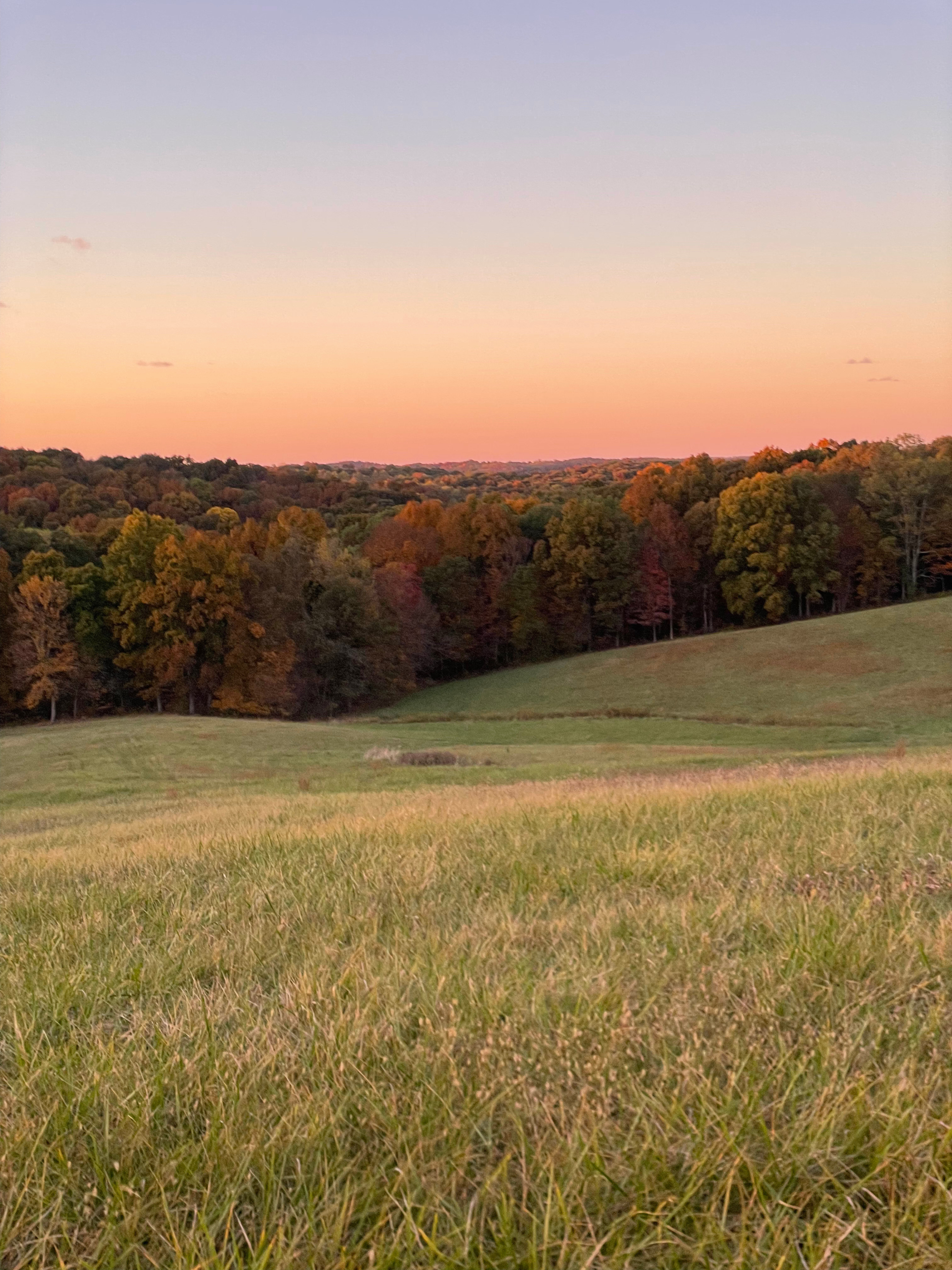 Hill Springs Campground