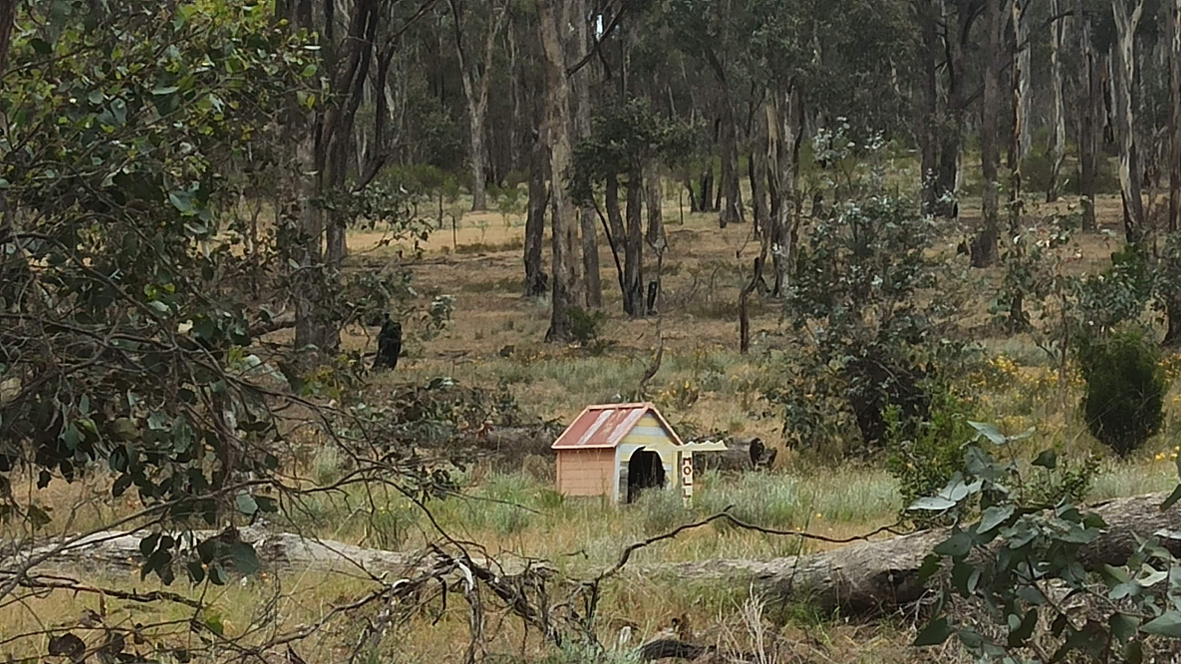 Lovely Bush Property