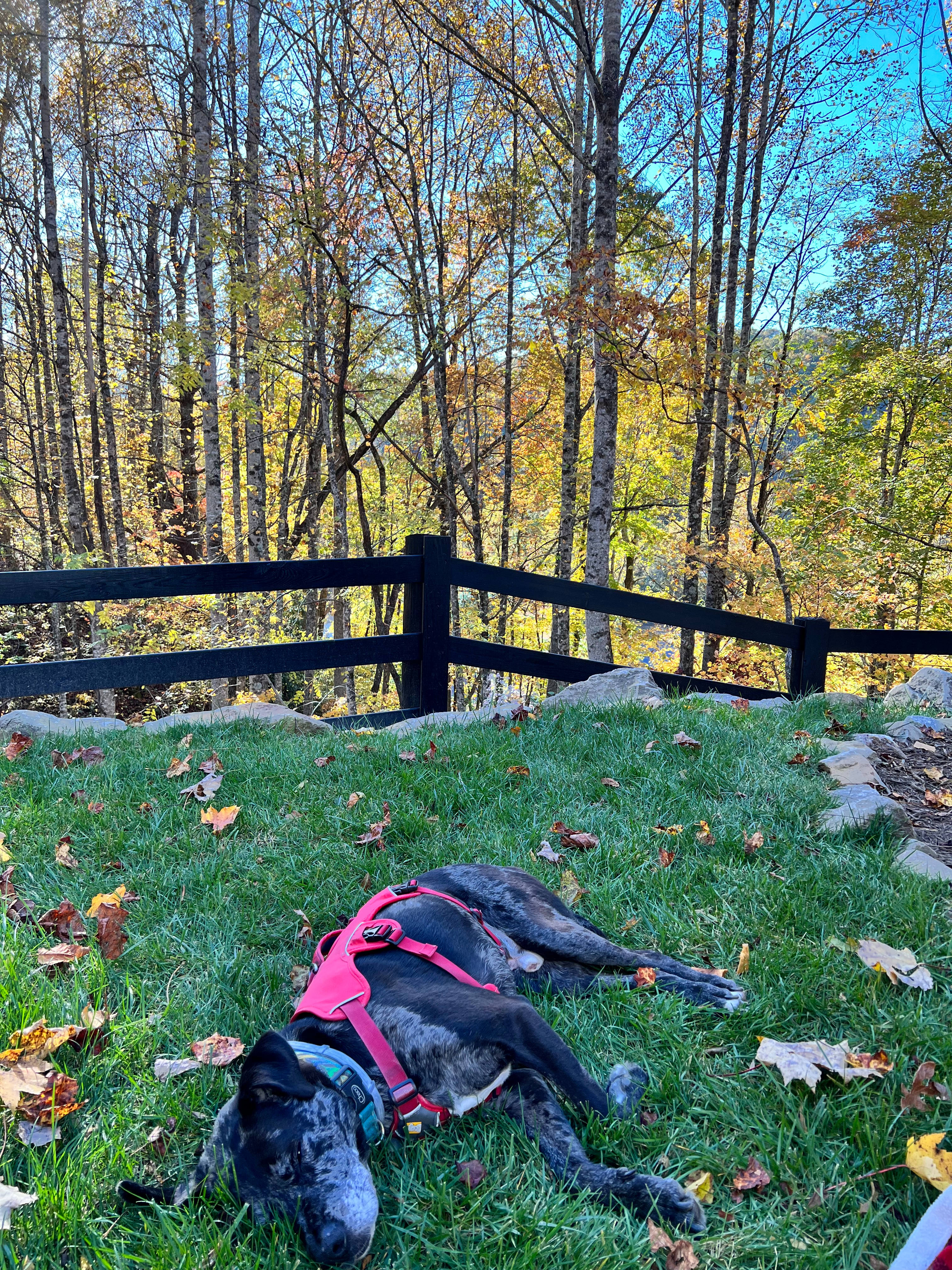 Gatlin Ridge RV Park