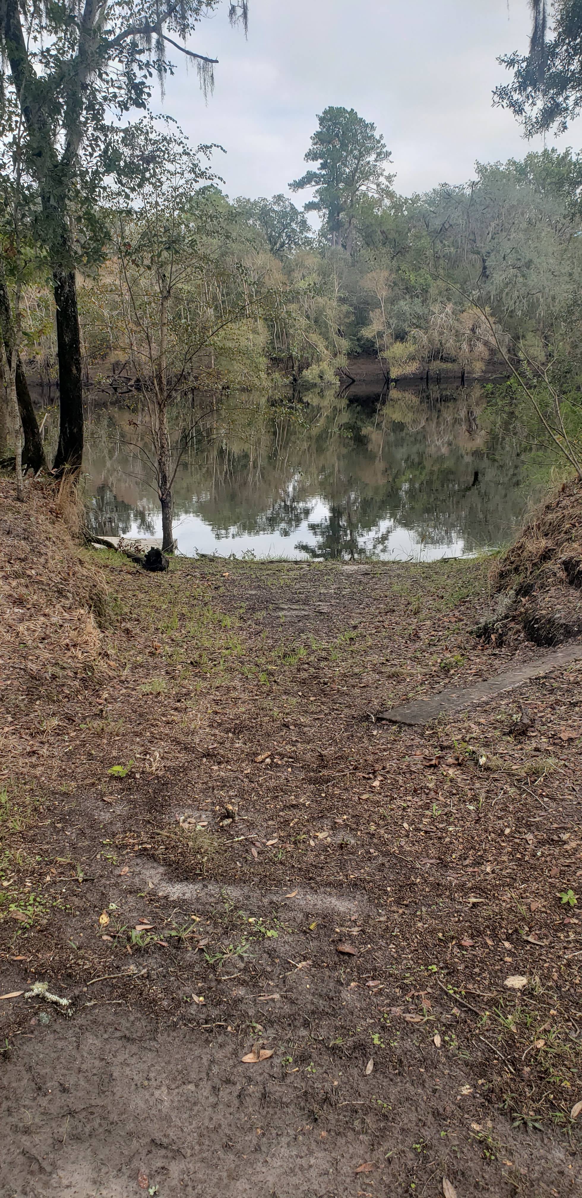Suwannee River Green Acres