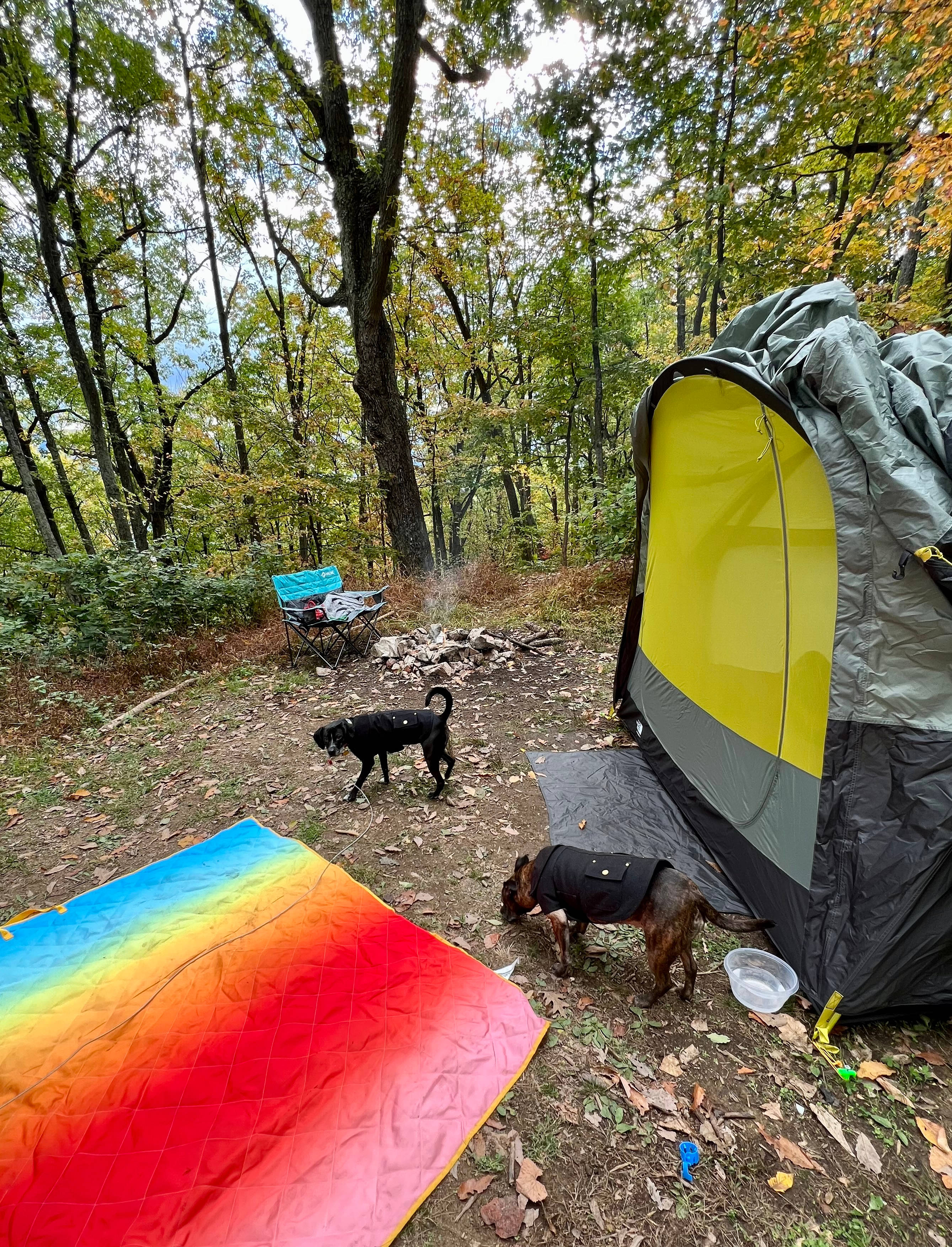 Shenandoah Valley MTN