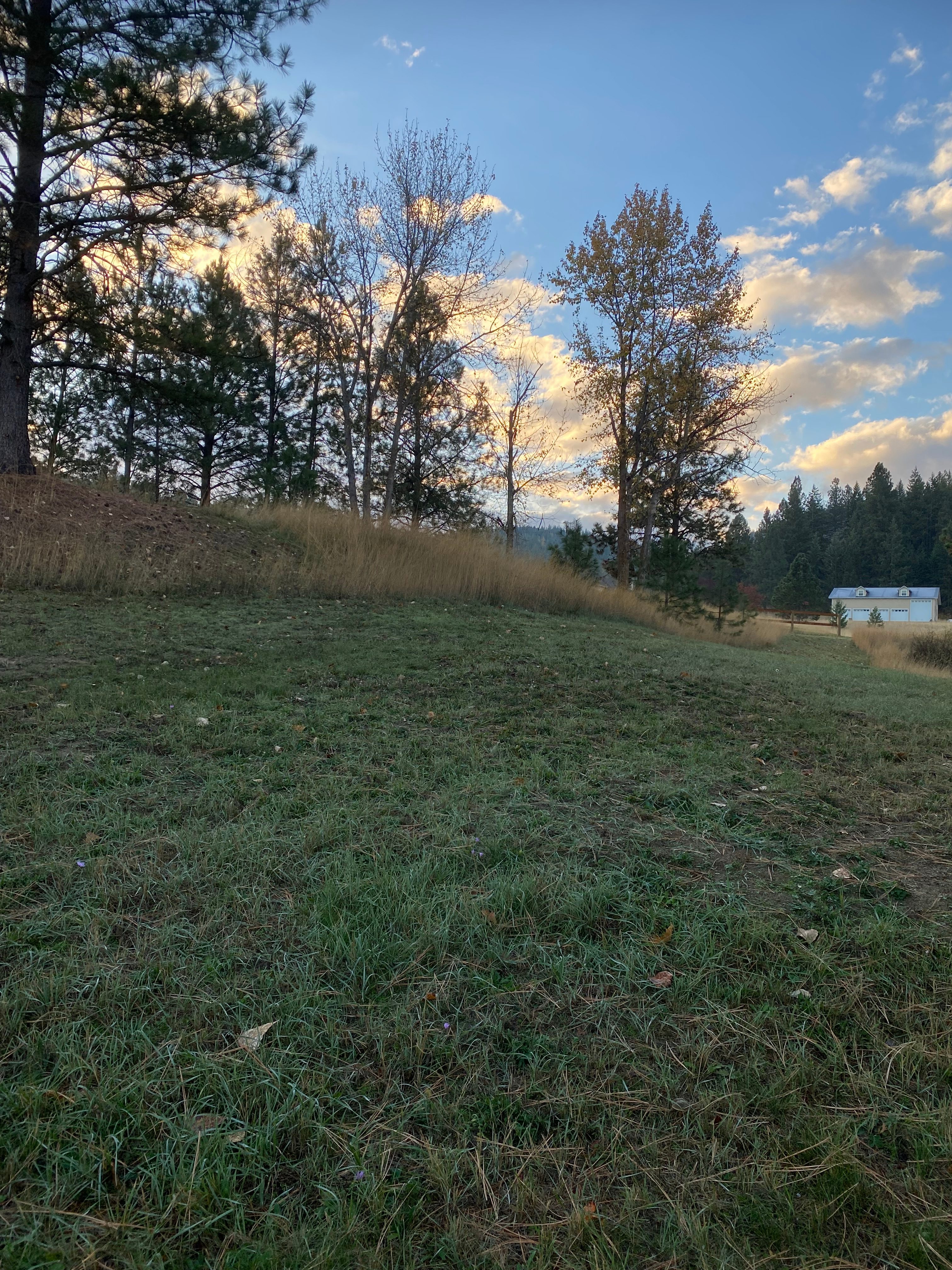Coyote Flats